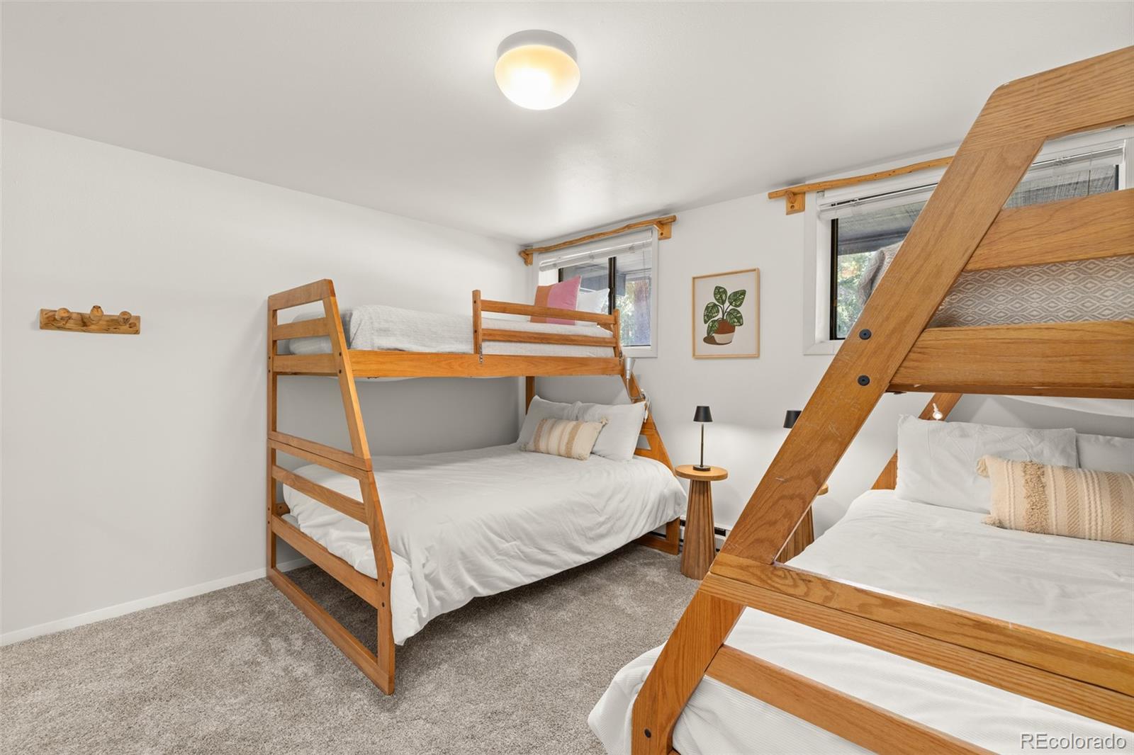 MLS Image #29 for 315 s 2nd avenue,frisco, Colorado