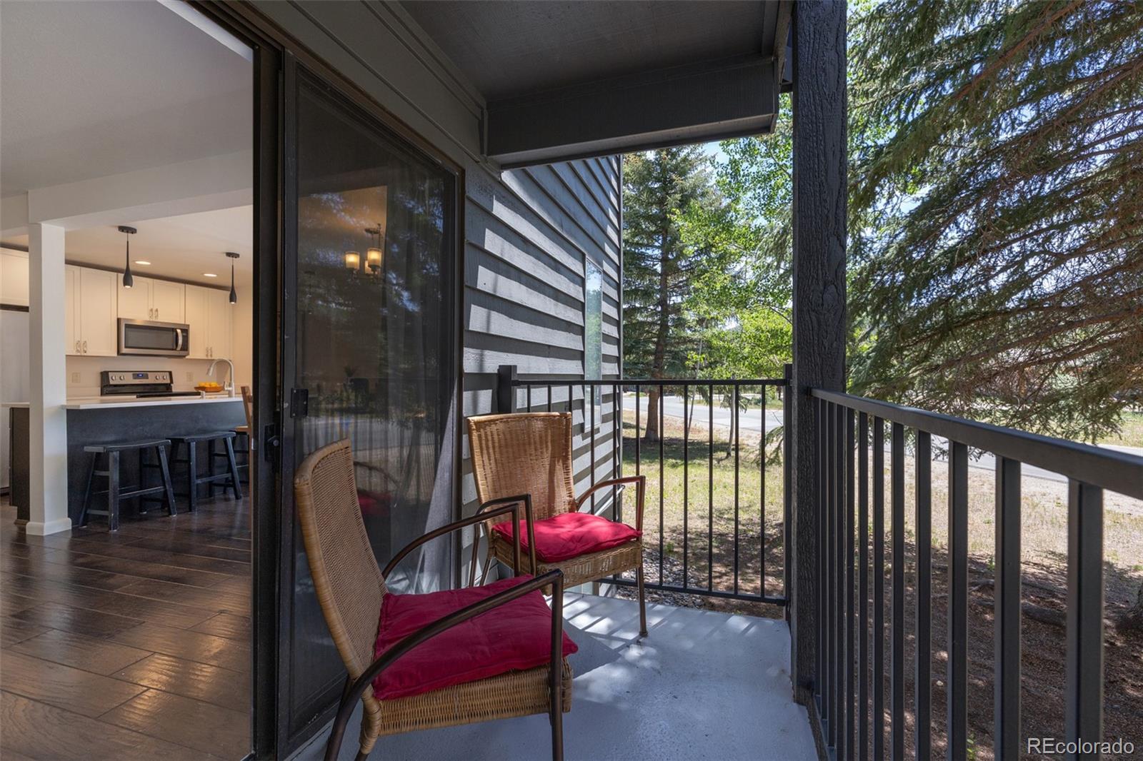MLS Image #32 for 315 s 2nd avenue,frisco, Colorado