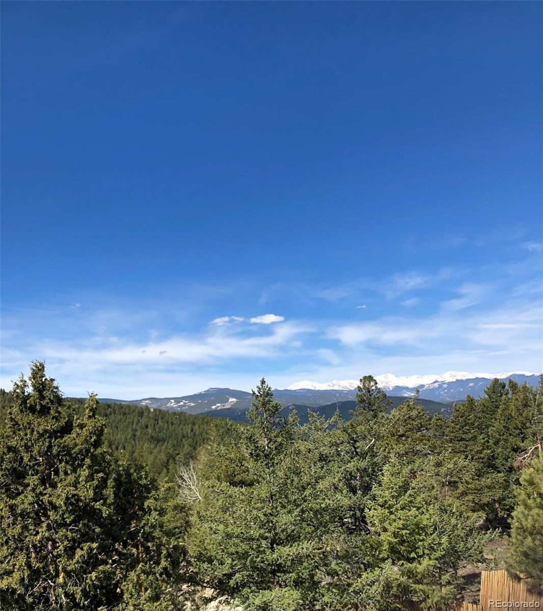 MLS Image #3 for 5457  bear mountain drive,evergreen, Colorado