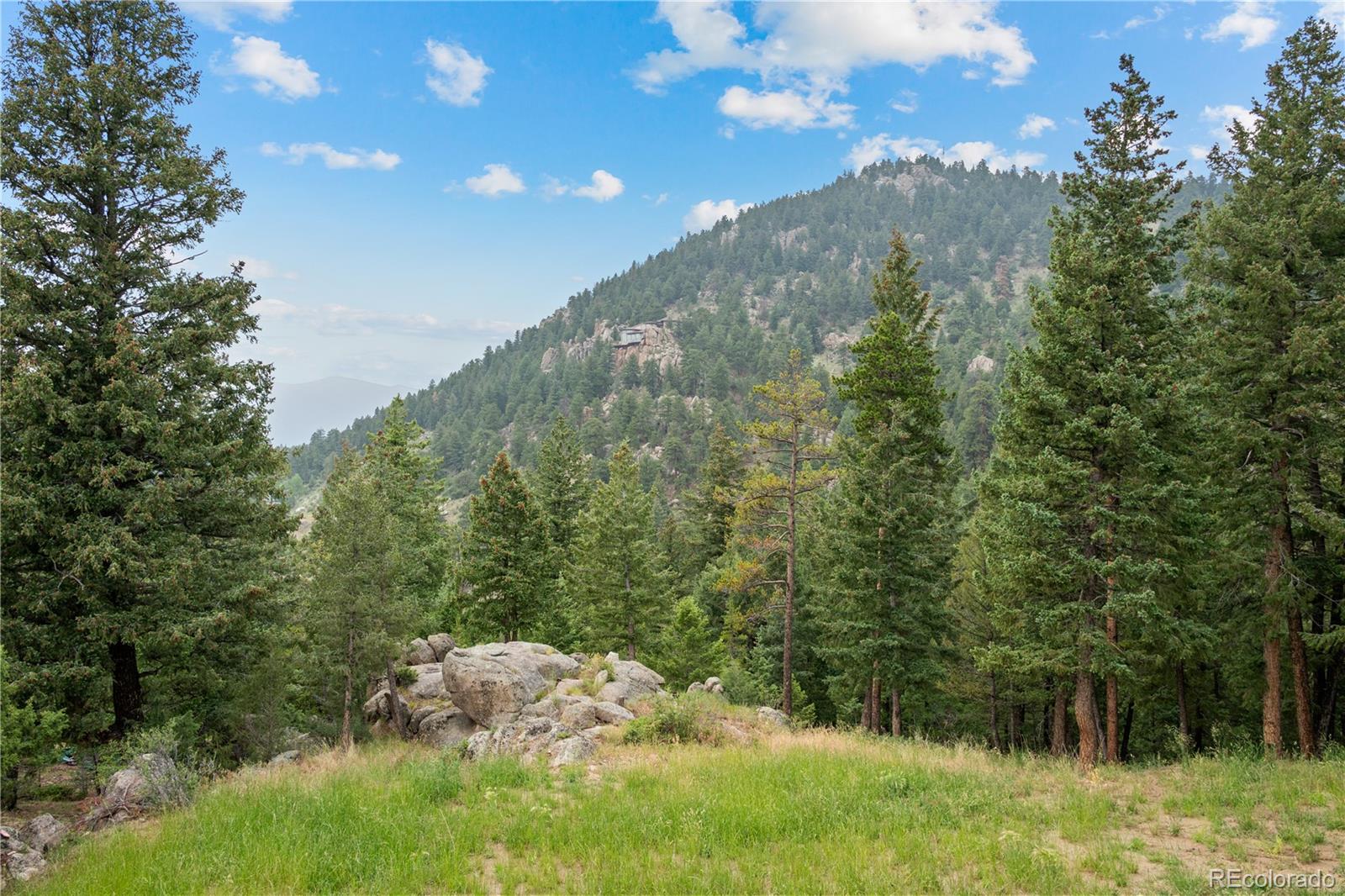 MLS Image #32 for 5457  bear mountain drive,evergreen, Colorado
