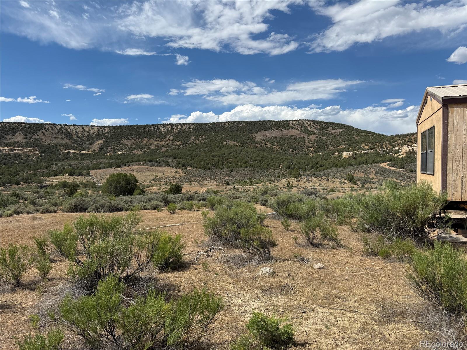 MLS Image #10 for 4530  horse canyon road,de beque, Colorado