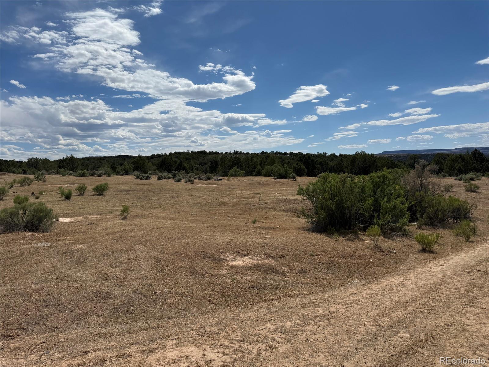 MLS Image #11 for 4530  horse canyon road,de beque, Colorado