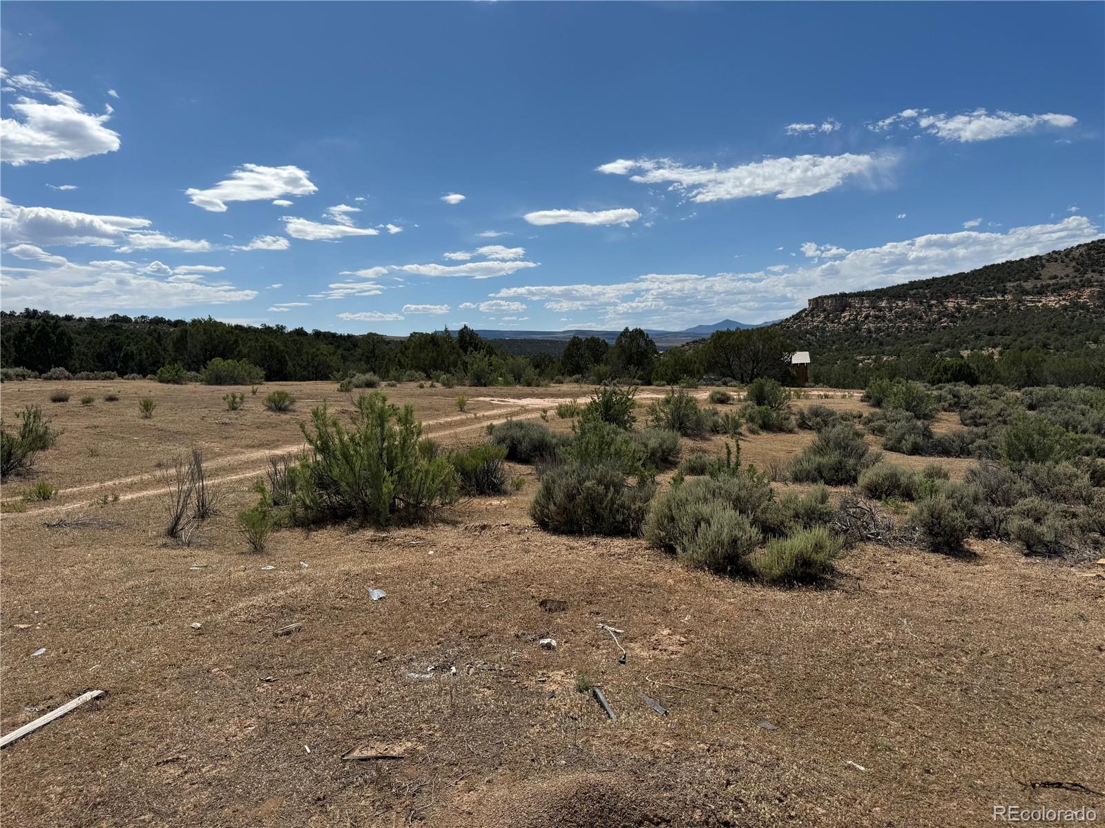 MLS Image #12 for 4530  horse canyon road,de beque, Colorado