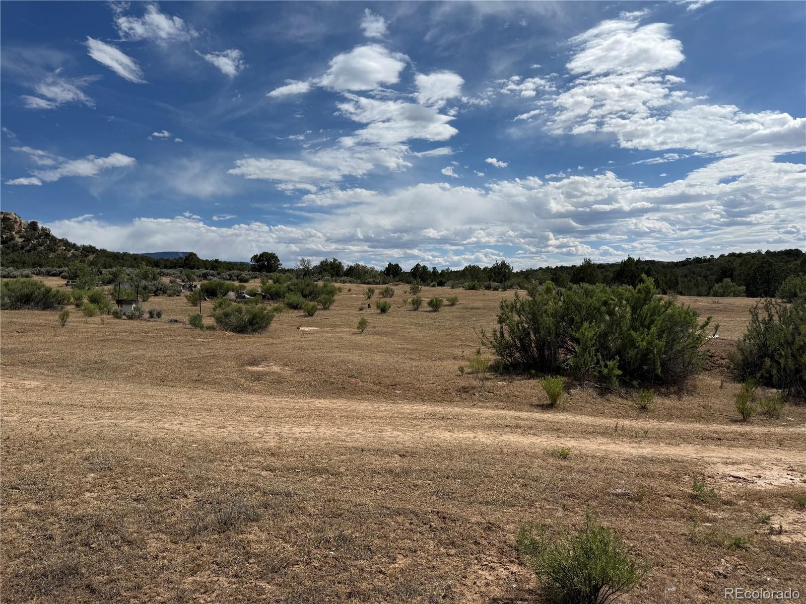 MLS Image #13 for 4530  horse canyon road,de beque, Colorado