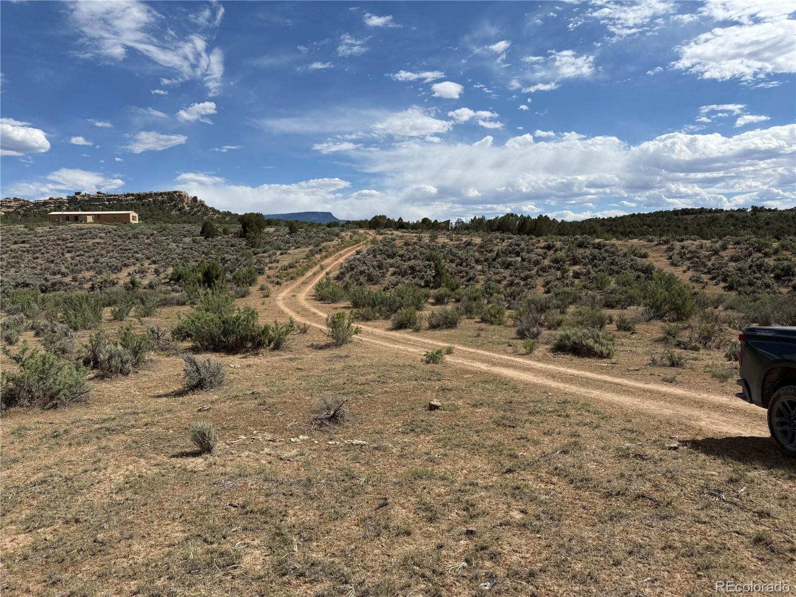 MLS Image #14 for 4530  horse canyon road,de beque, Colorado