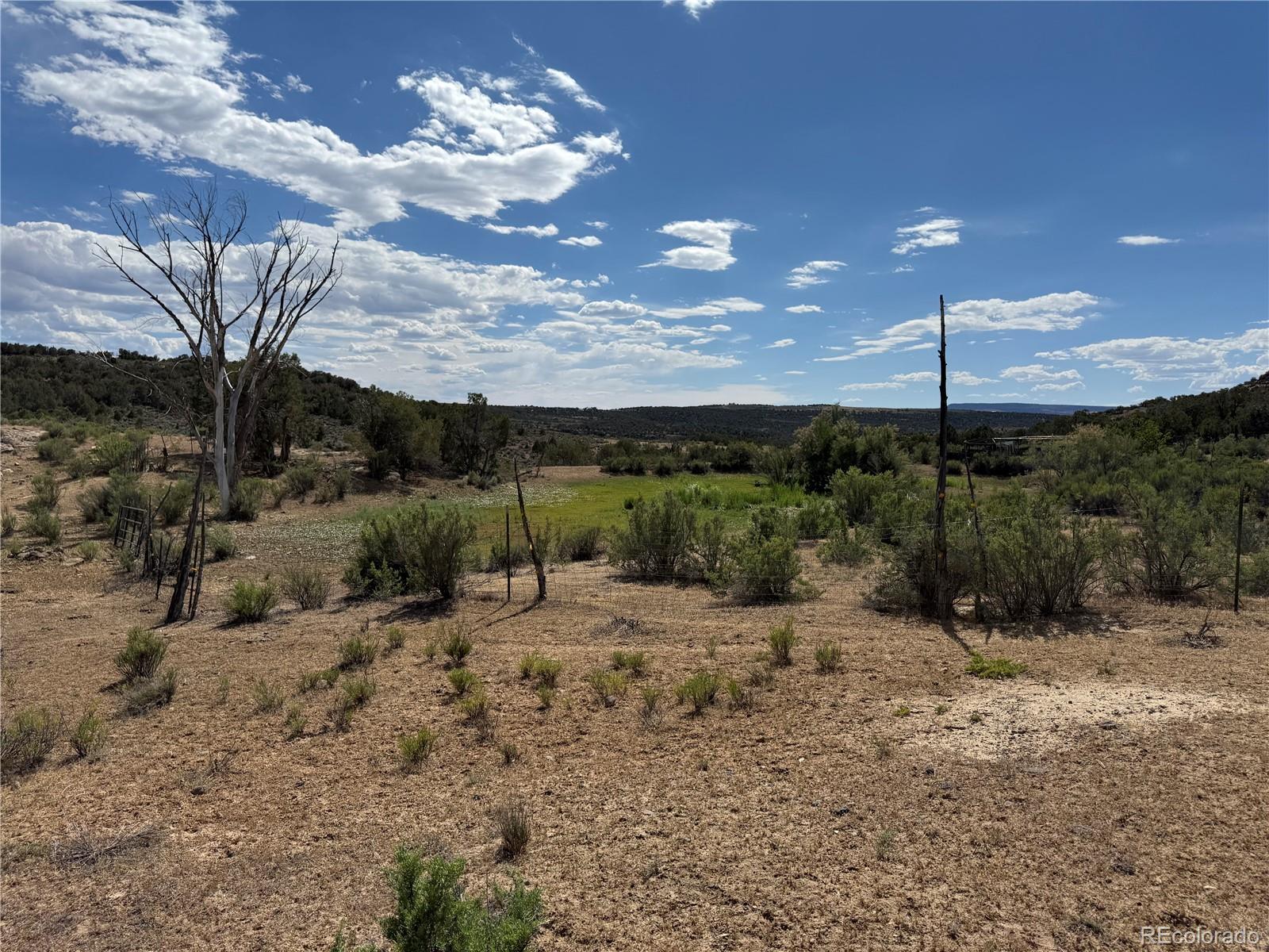 MLS Image #16 for 4530  horse canyon road,de beque, Colorado