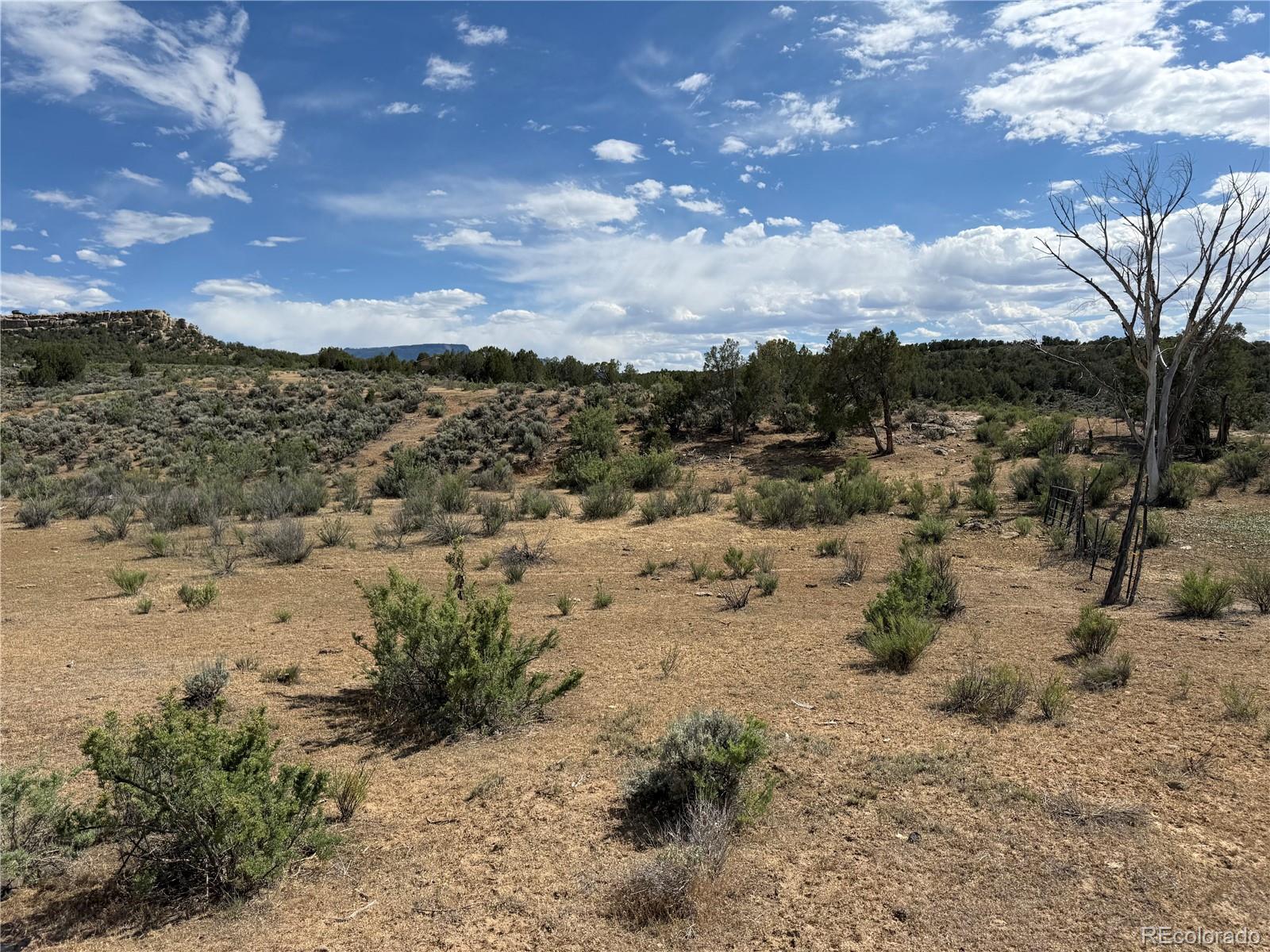 MLS Image #17 for 4530  horse canyon road,de beque, Colorado