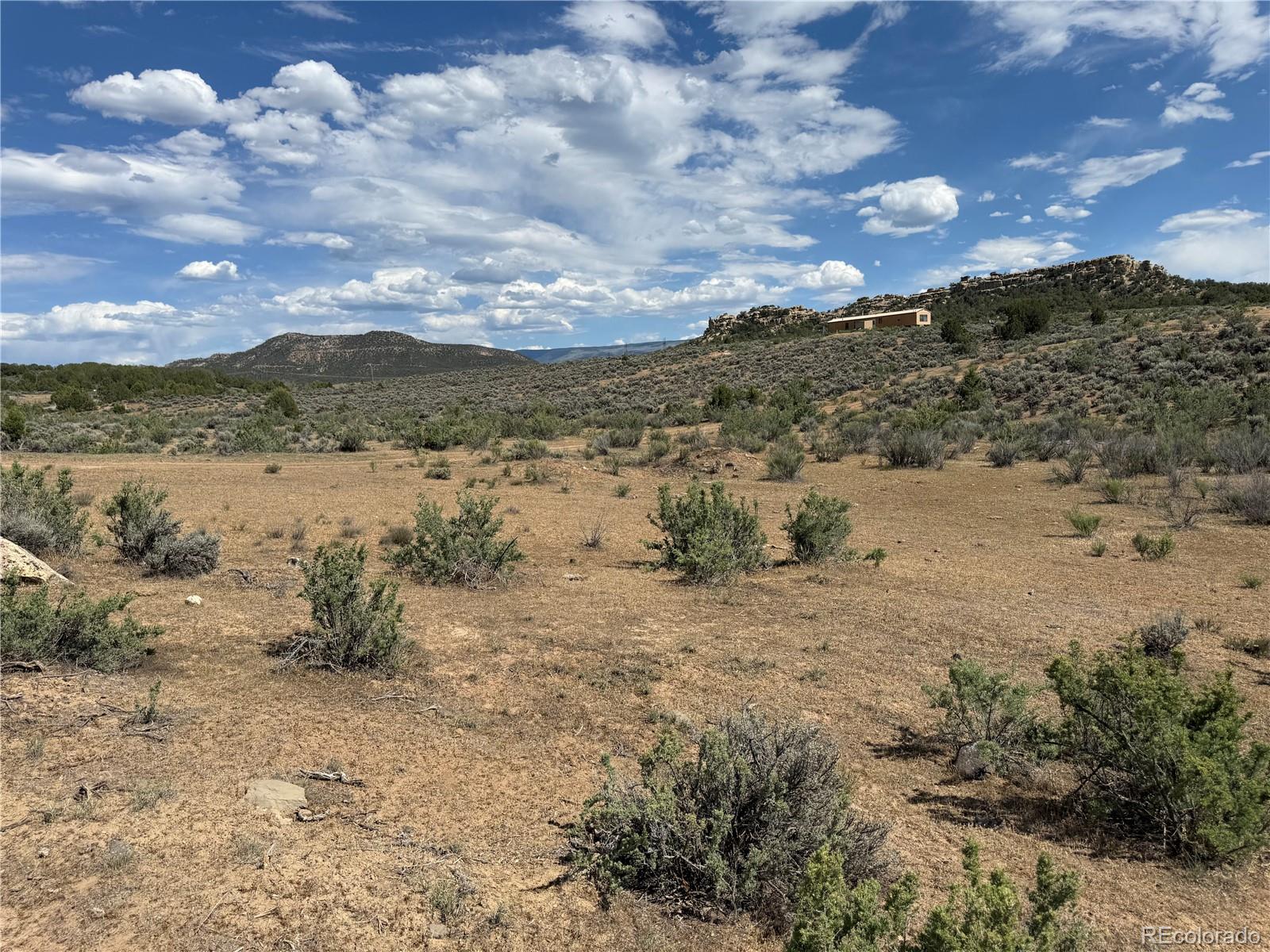 MLS Image #18 for 4530  horse canyon road,de beque, Colorado