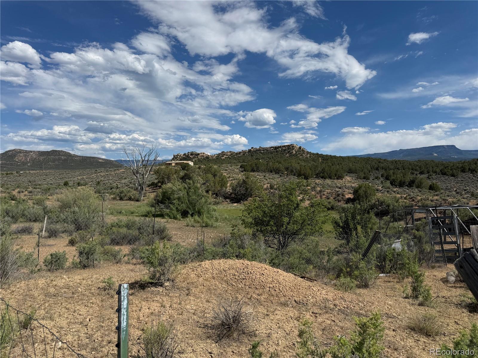 MLS Image #19 for 4530  horse canyon road,de beque, Colorado