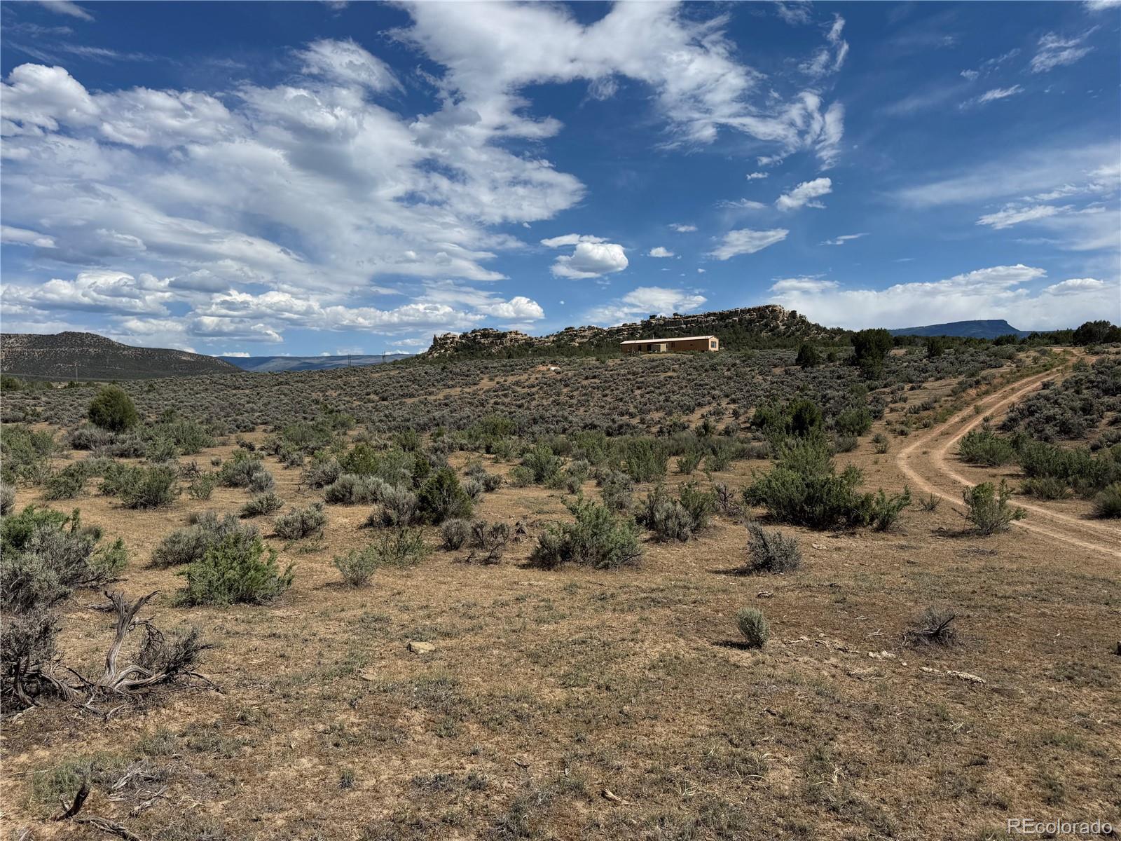 MLS Image #4 for 4530  horse canyon road,de beque, Colorado
