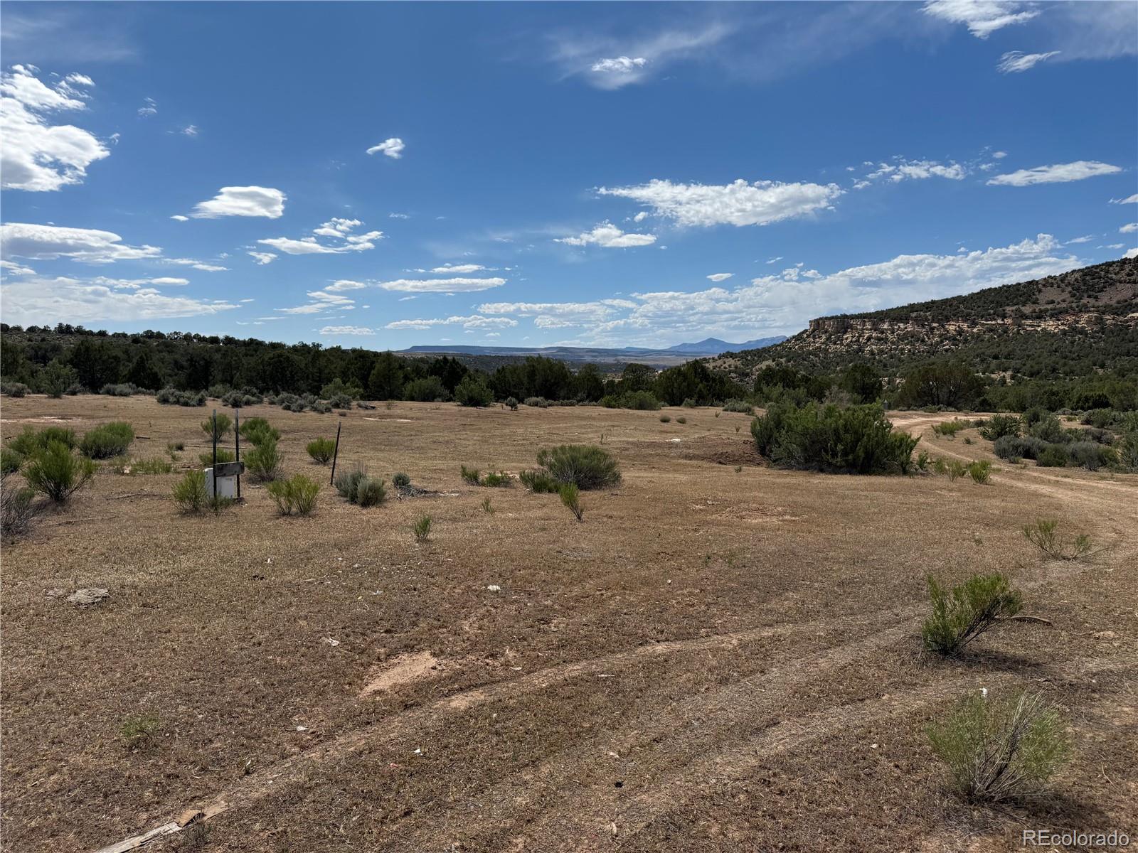 MLS Image #6 for 4530  horse canyon road,de beque, Colorado