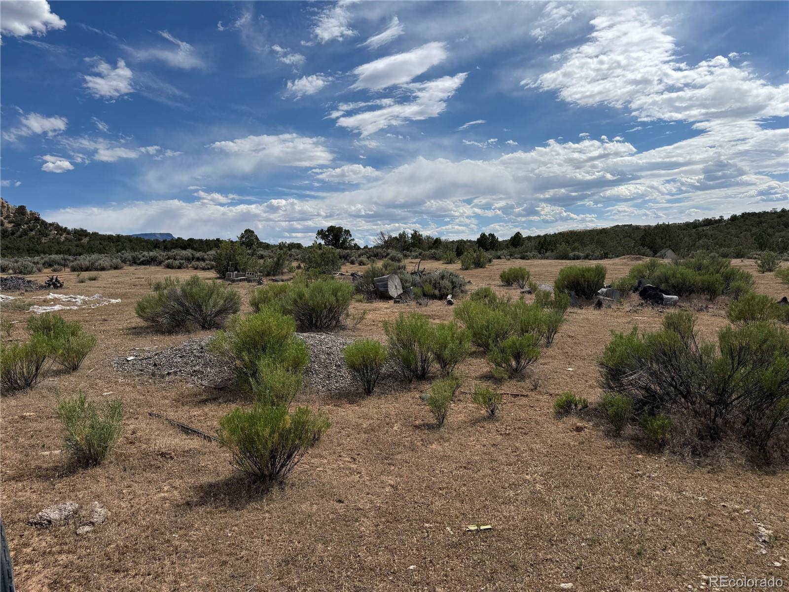 MLS Image #7 for 4530  horse canyon road,de beque, Colorado