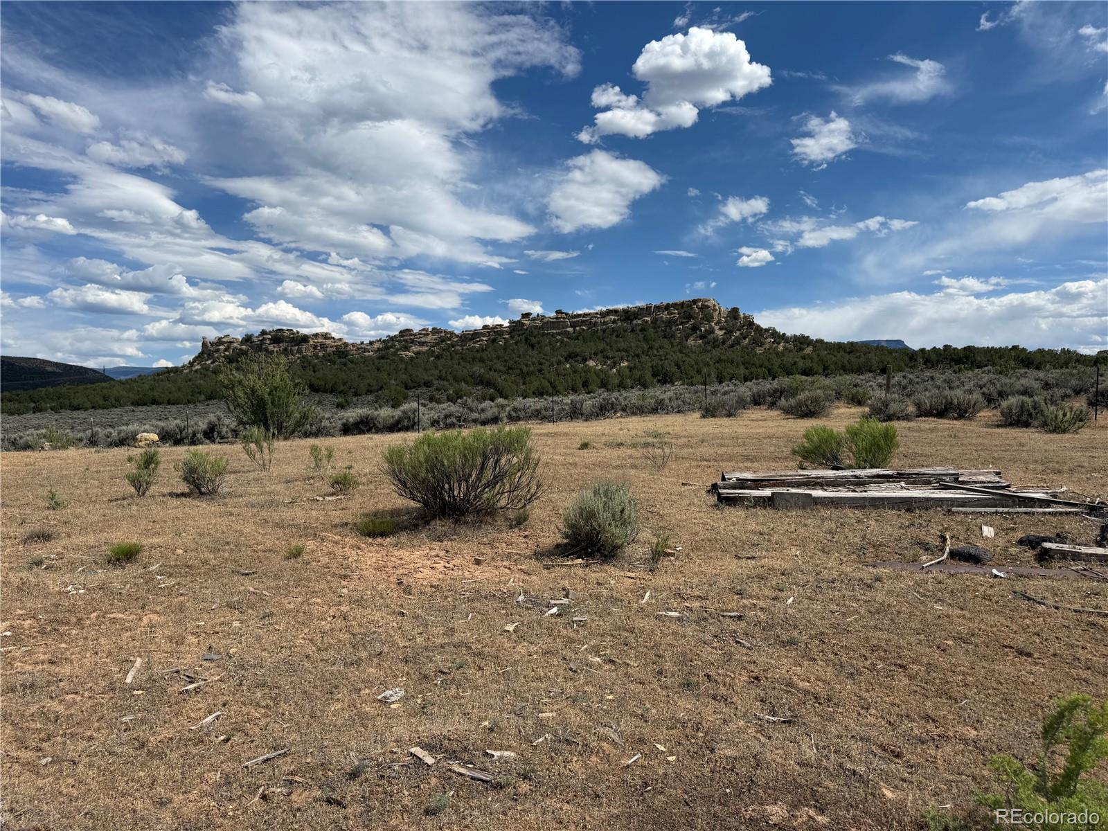 MLS Image #8 for 4530  horse canyon road,de beque, Colorado