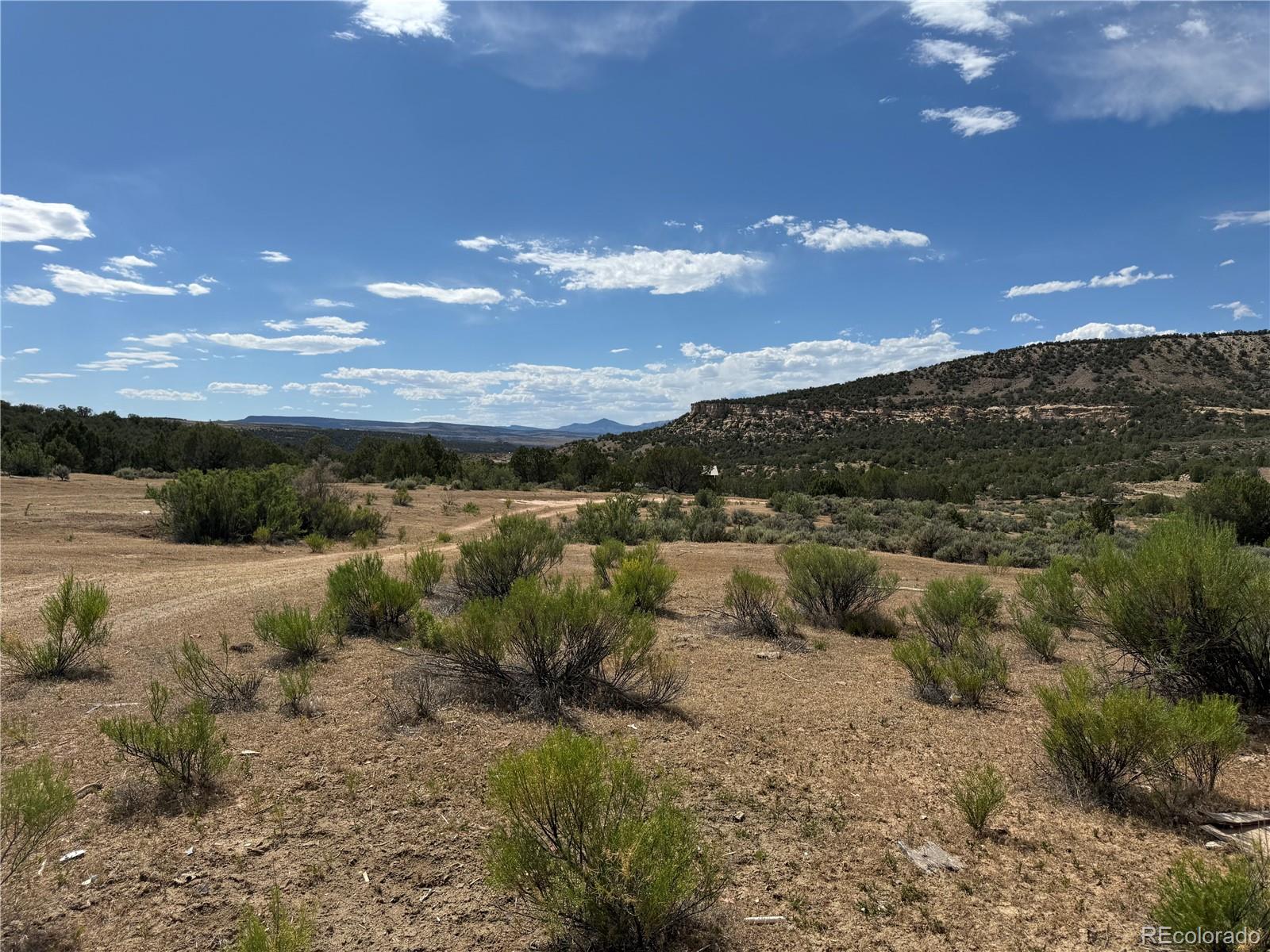 MLS Image #9 for 4530  horse canyon road,de beque, Colorado