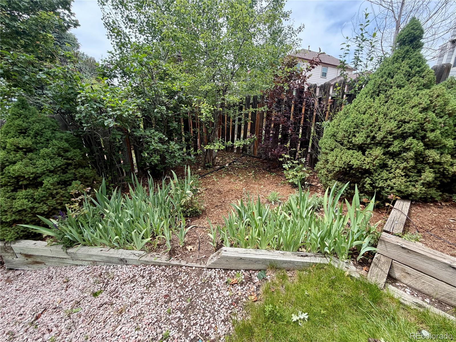 MLS Image #35 for 2260  havenridge drive,colorado springs, Colorado