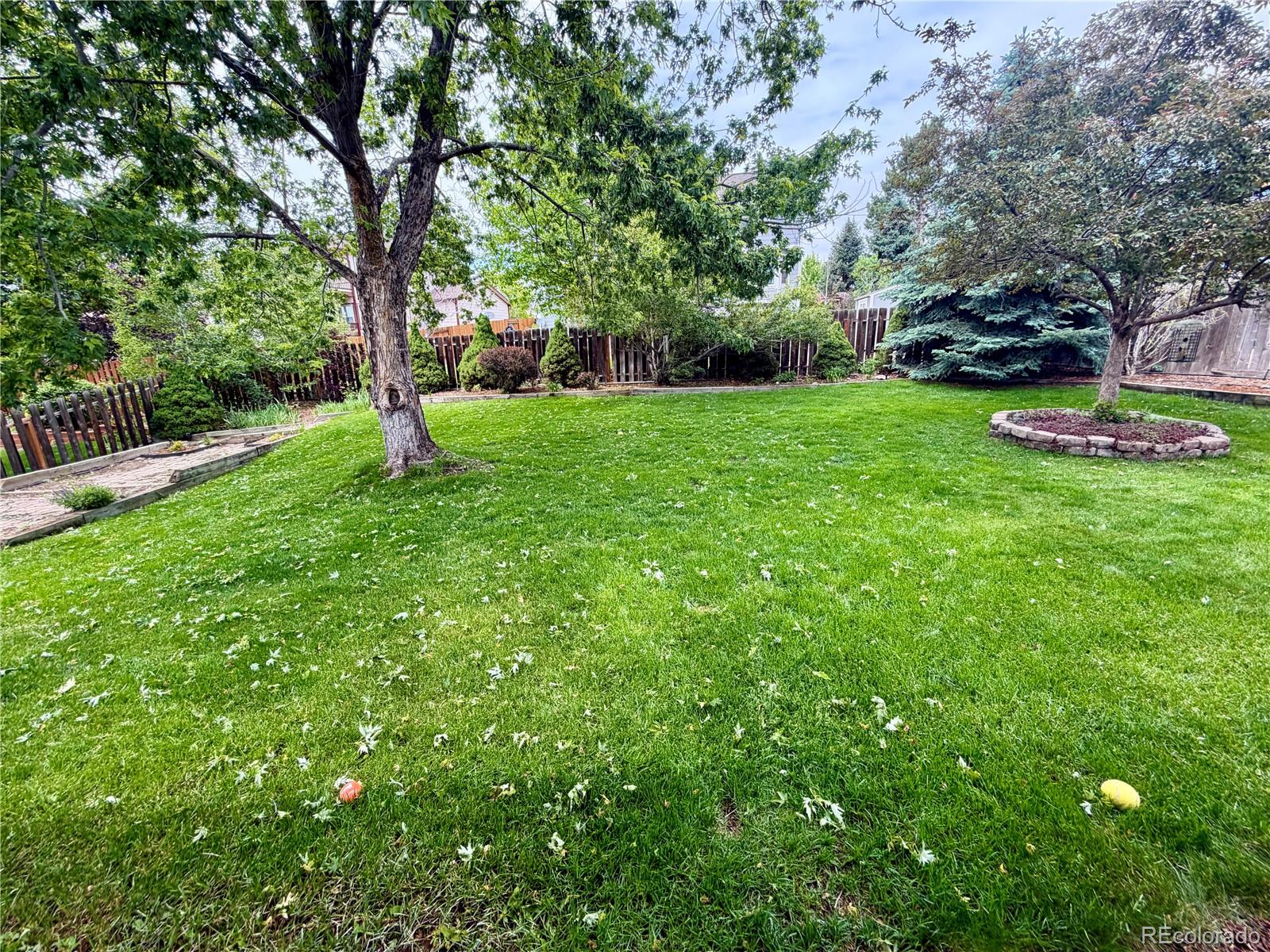 MLS Image #38 for 2260  havenridge drive,colorado springs, Colorado