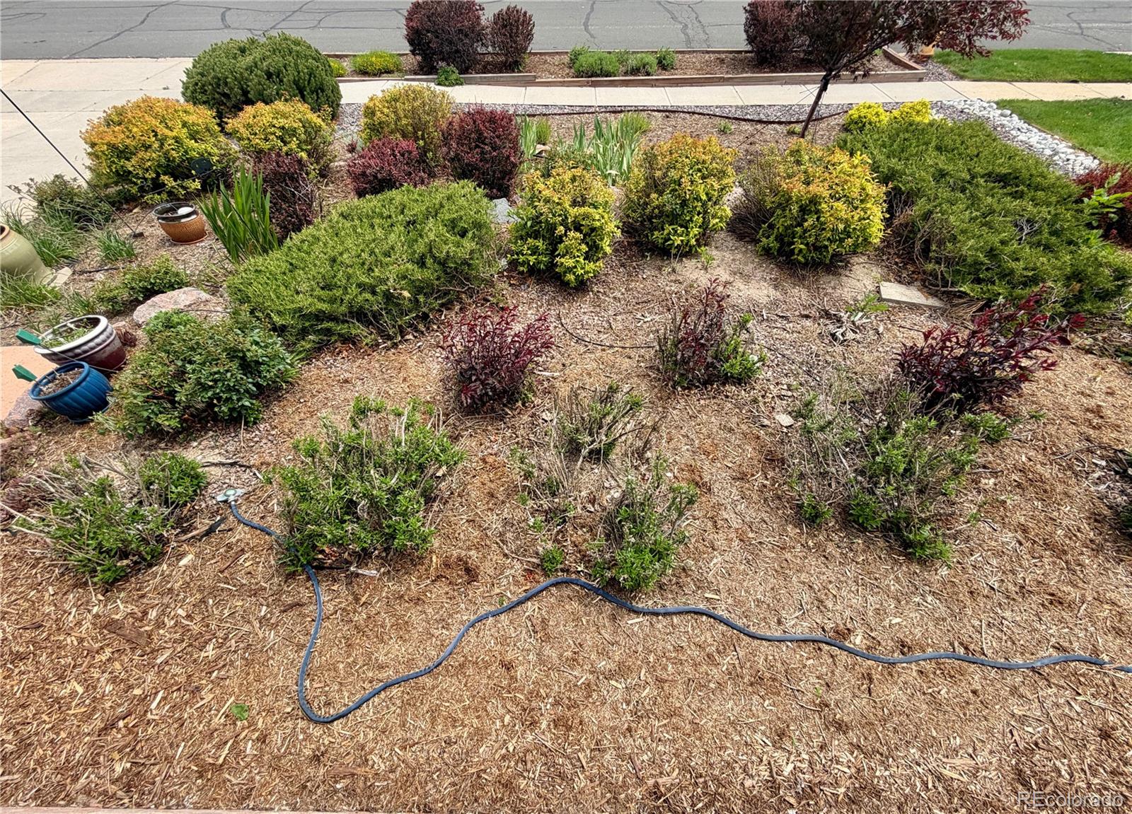 MLS Image #39 for 2260  havenridge drive,colorado springs, Colorado
