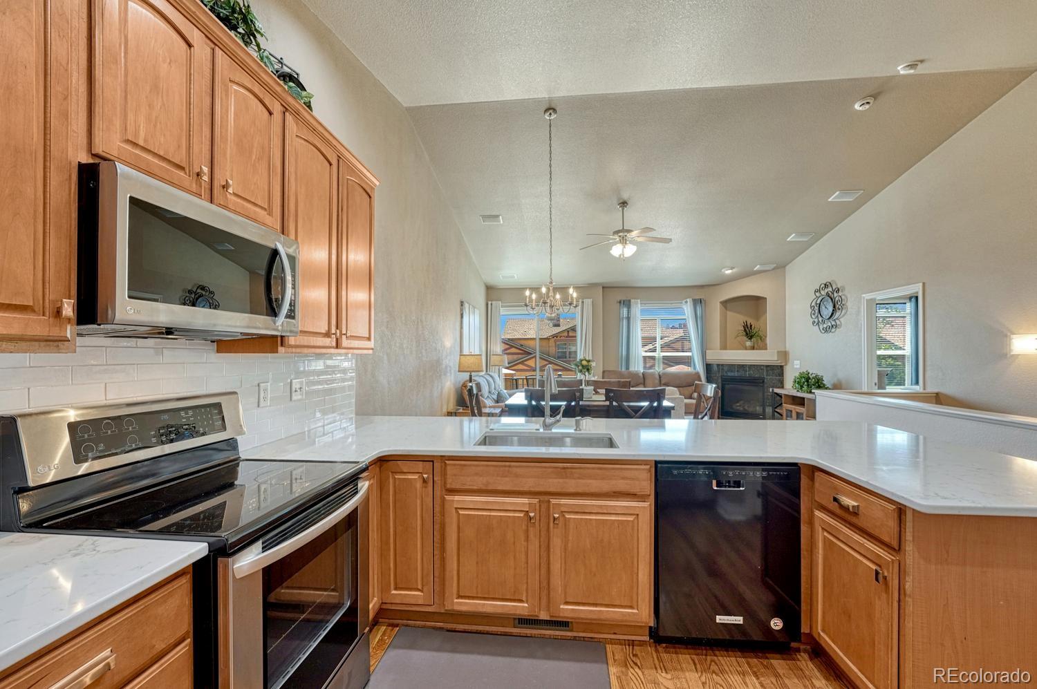 MLS Image #6 for 8492  artesian springs point,colorado springs, Colorado