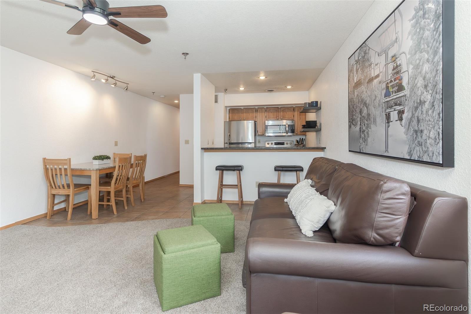 MLS Image #9 for 715 s 5th avenue,frisco, Colorado