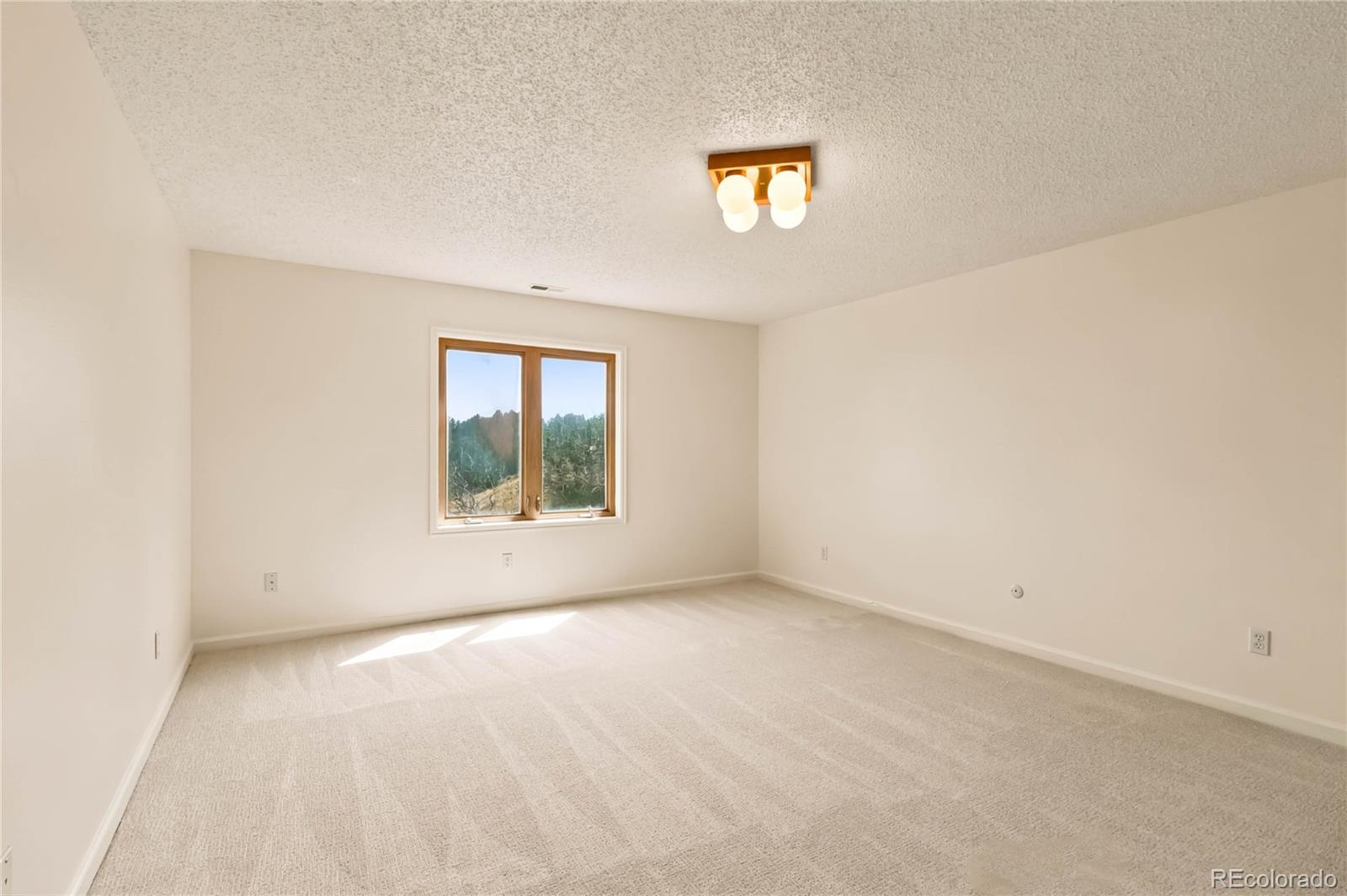 MLS Image #29 for 1335  winding ridge terrace,colorado springs, Colorado