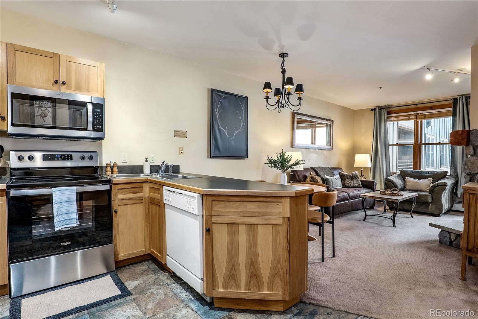 MLS Image #2 for 100  dercum square,dillon, Colorado