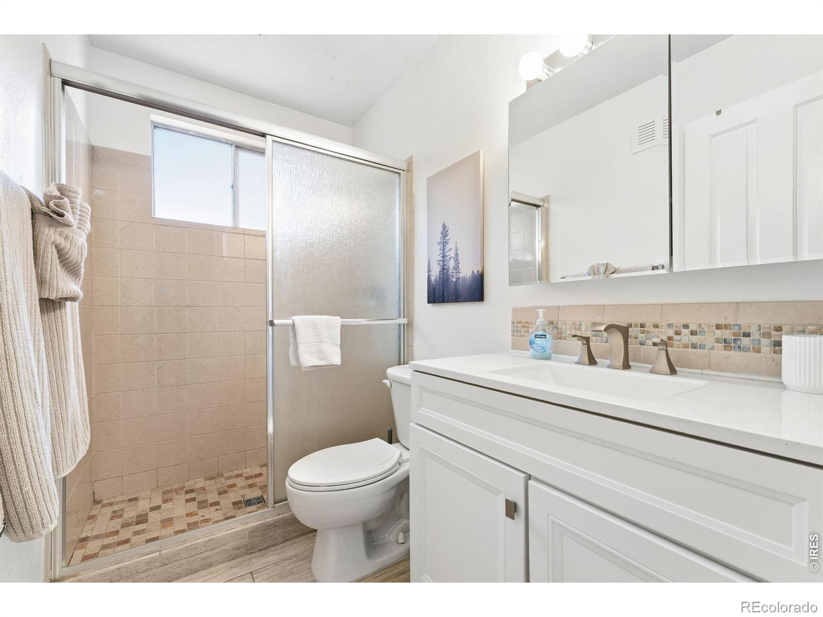 MLS Image #15 for 703 w 29th street,loveland, Colorado