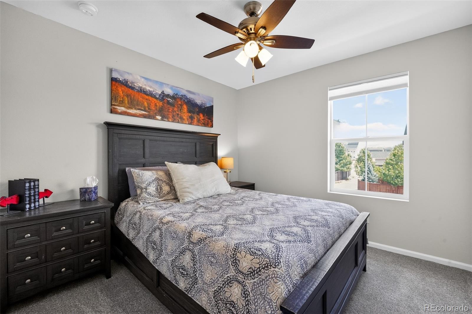 MLS Image #19 for 9091 e 59th north place ,denver, Colorado