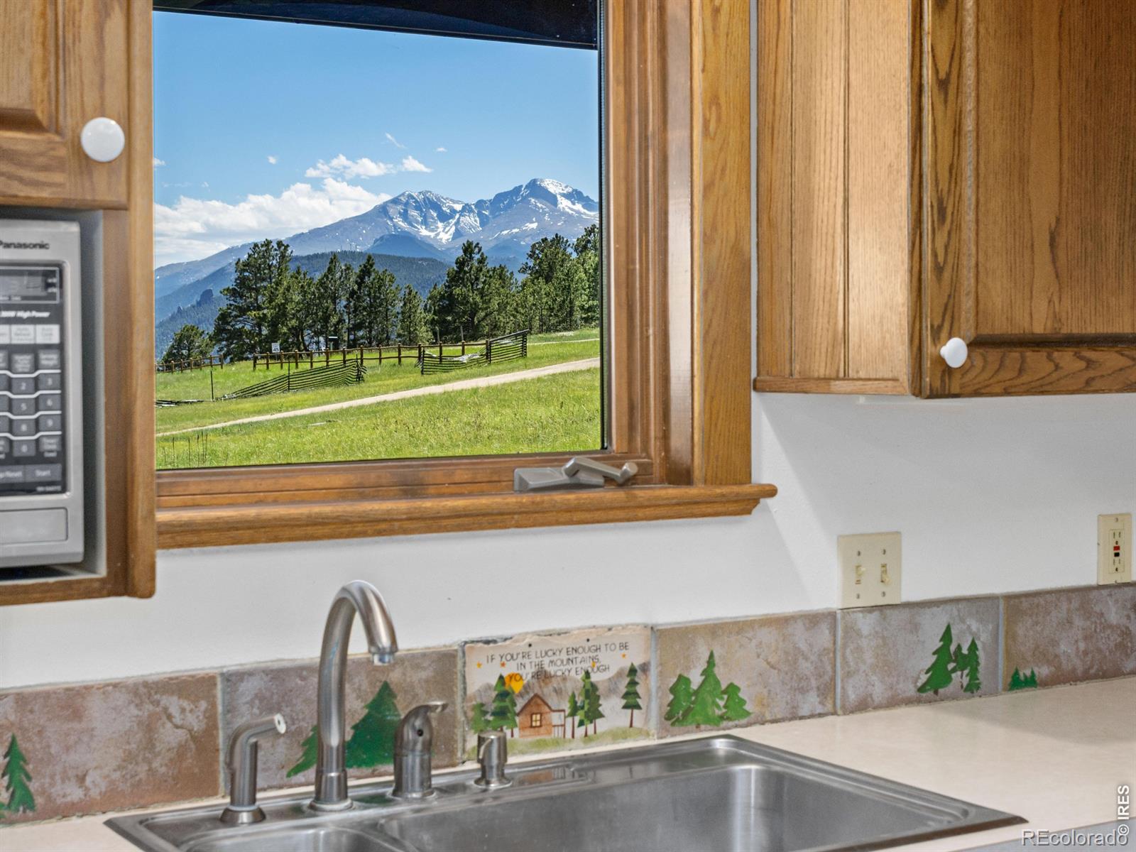 MLS Image #16 for 2180  devils gulch road,estes park, Colorado