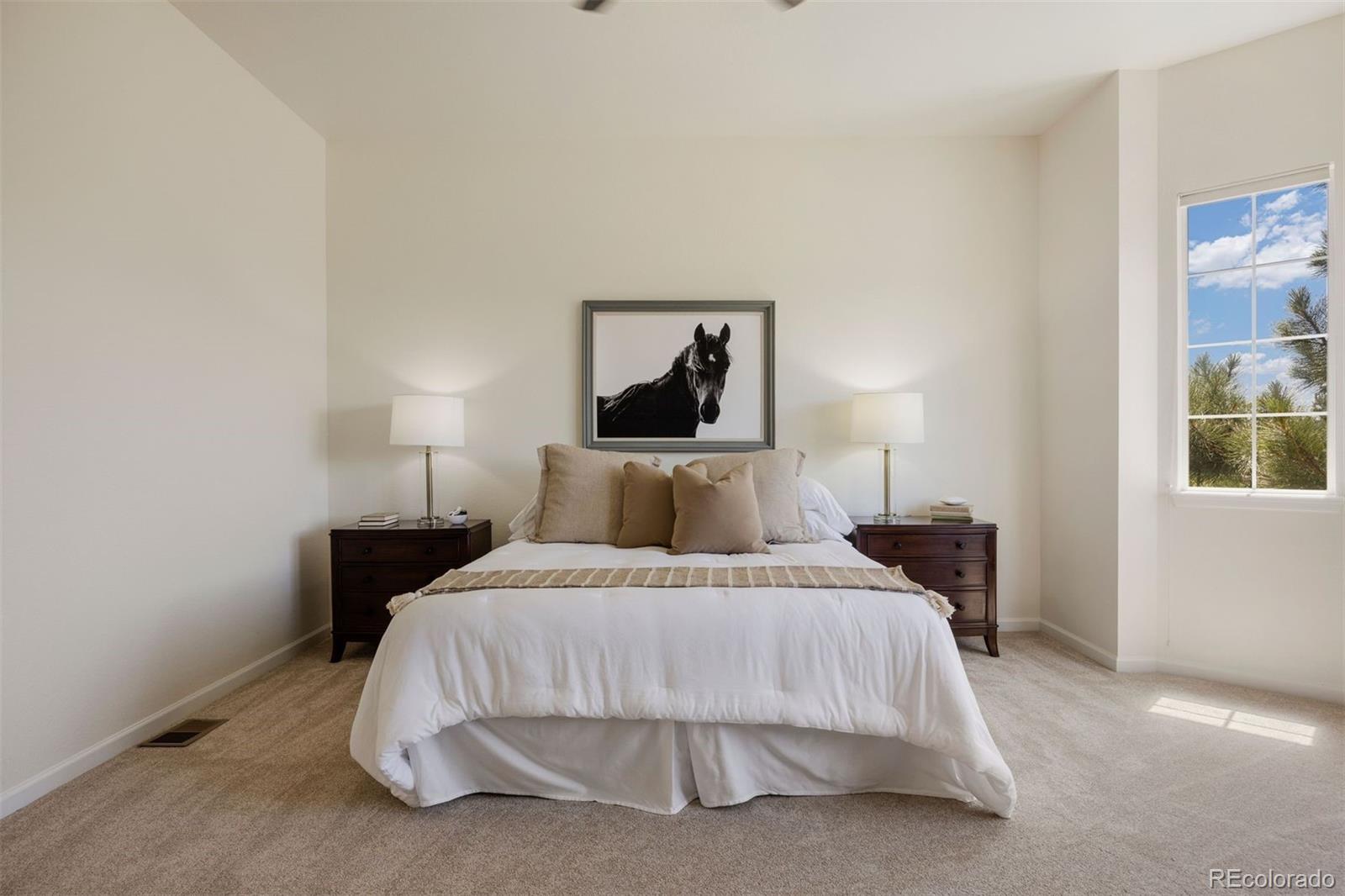 MLS Image #8 for 5136  le duc drive,castle rock, Colorado