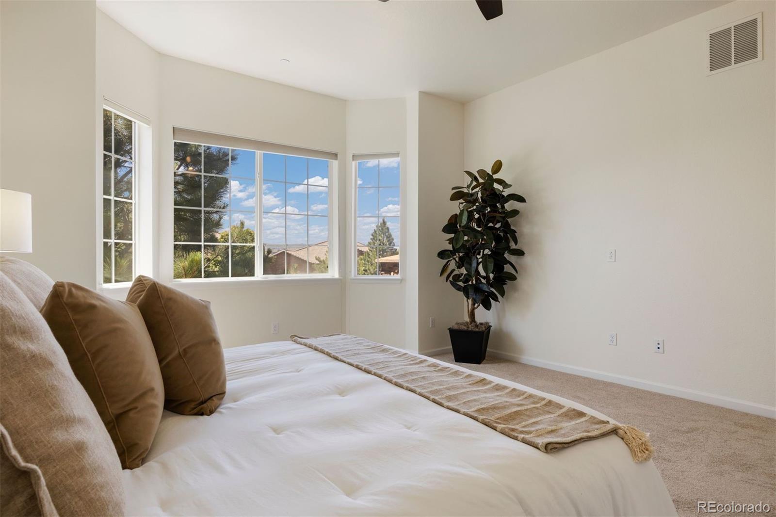 MLS Image #9 for 5136  le duc drive,castle rock, Colorado