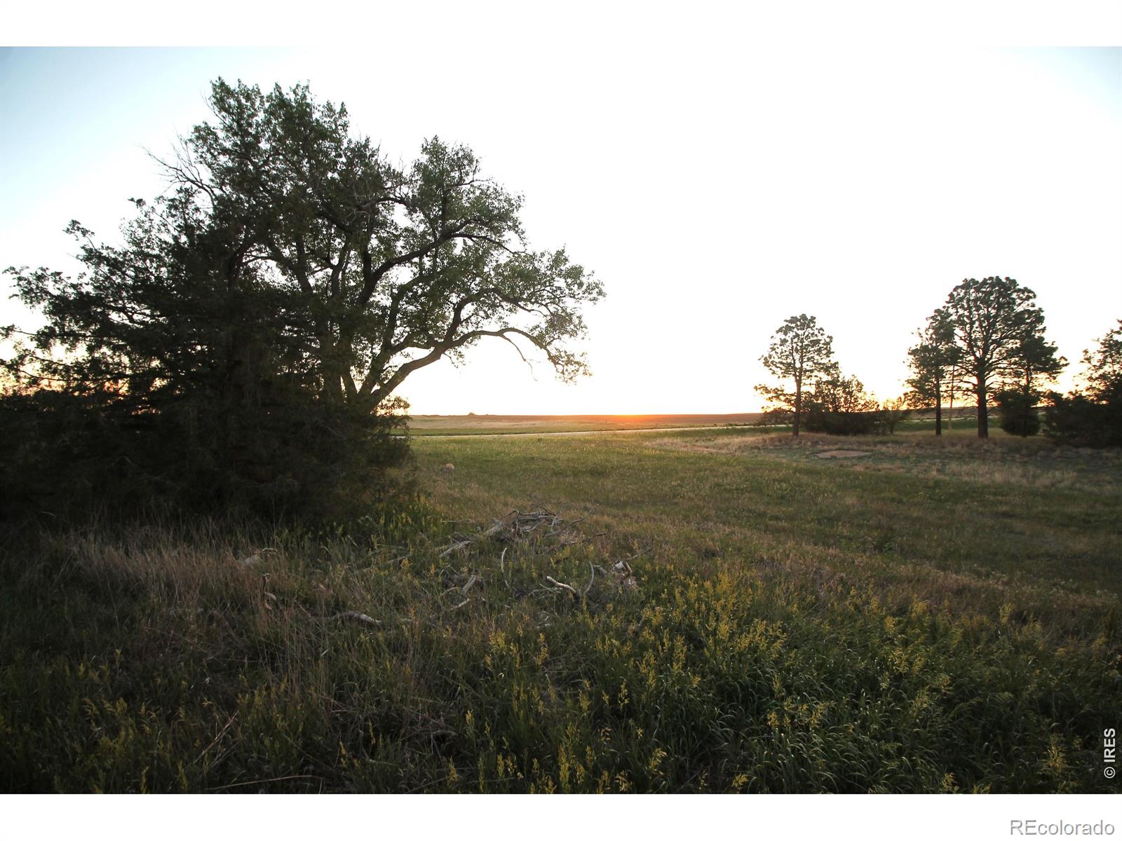 MLS Image #43 for 12224  county road 79 ,fleming, Colorado
