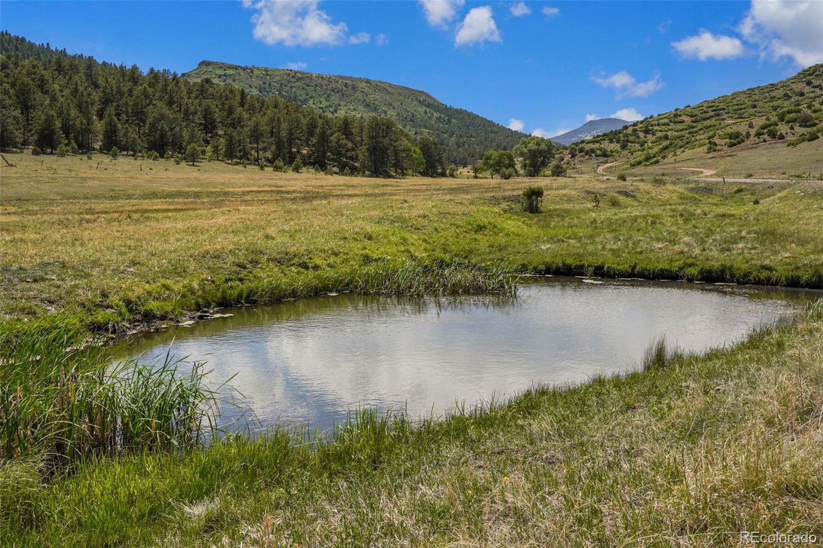MLS Image #41 for 400  bear trax drive,canon city, Colorado