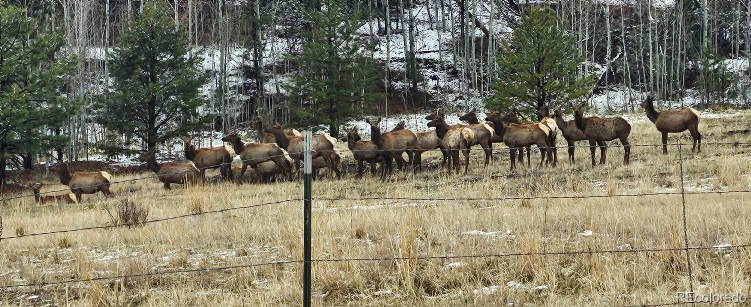 MLS Image #45 for 400  bear trax drive,canon city, Colorado