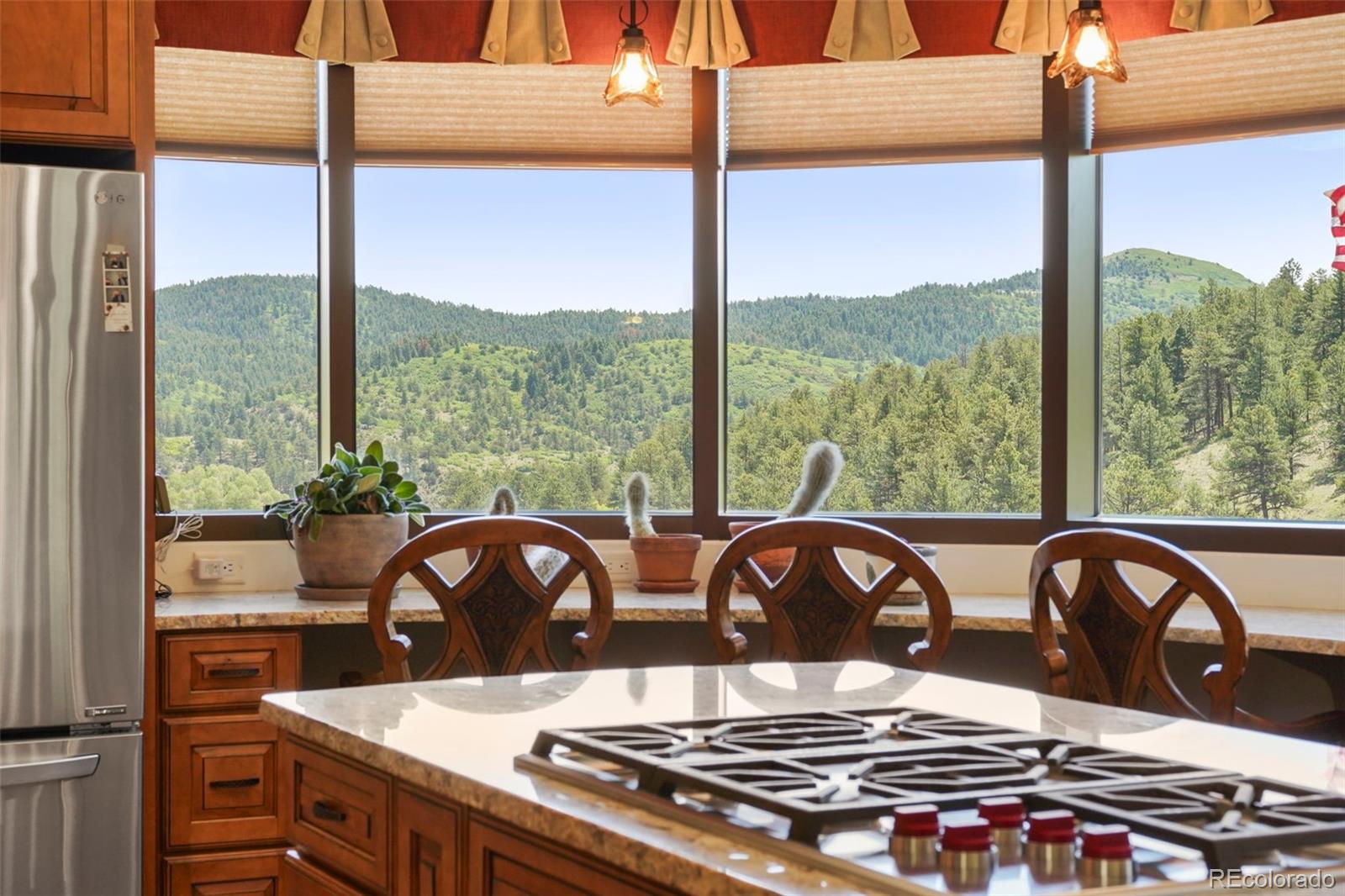 MLS Image #7 for 400  bear trax drive,canon city, Colorado