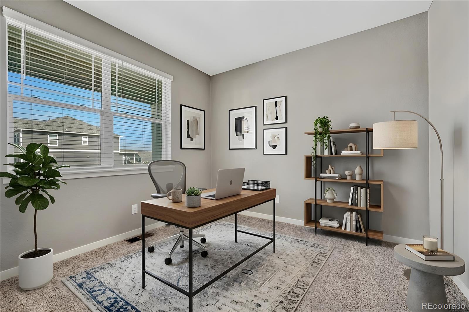 MLS Image #13 for 14032  shasta daisy street,parker, Colorado