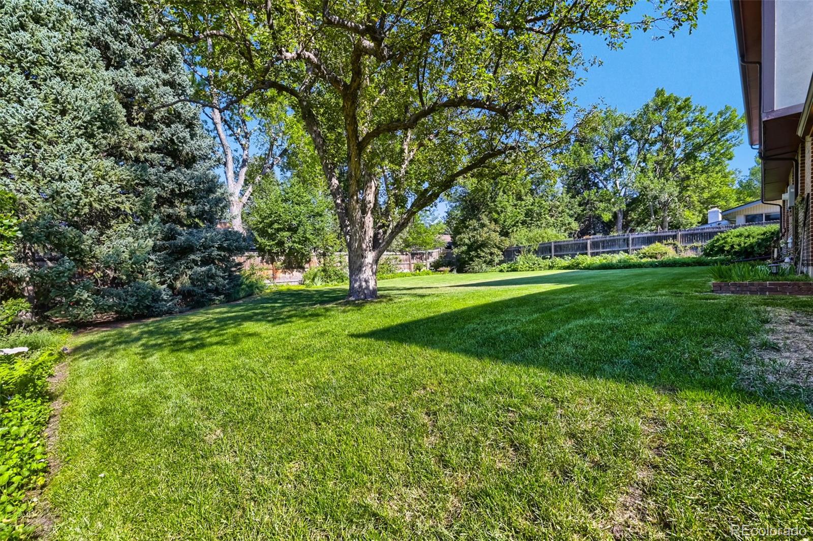 MLS Image #24 for 2900  quail street,lakewood, Colorado