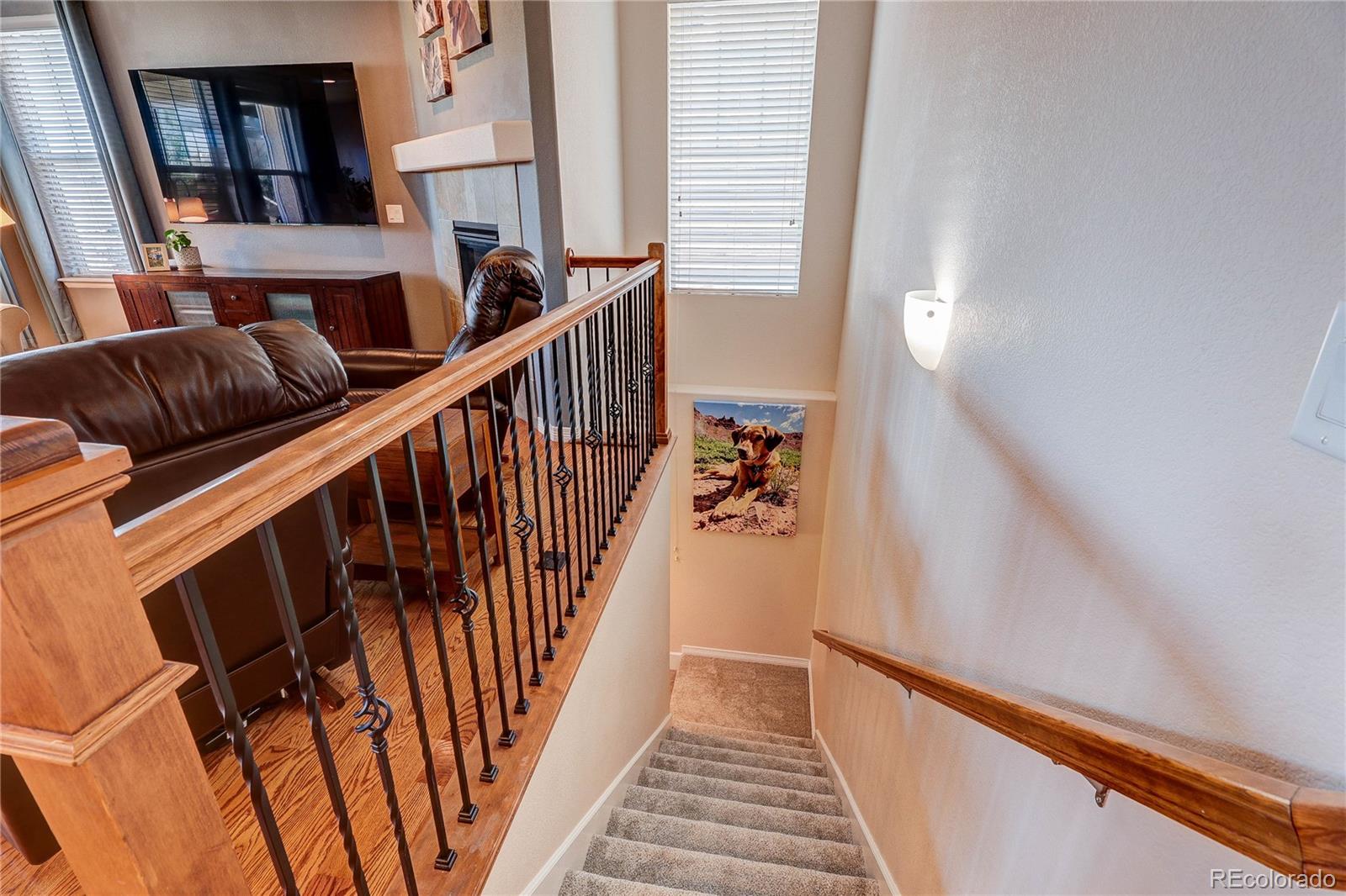 MLS Image #10 for 8436  violet court,arvada, Colorado
