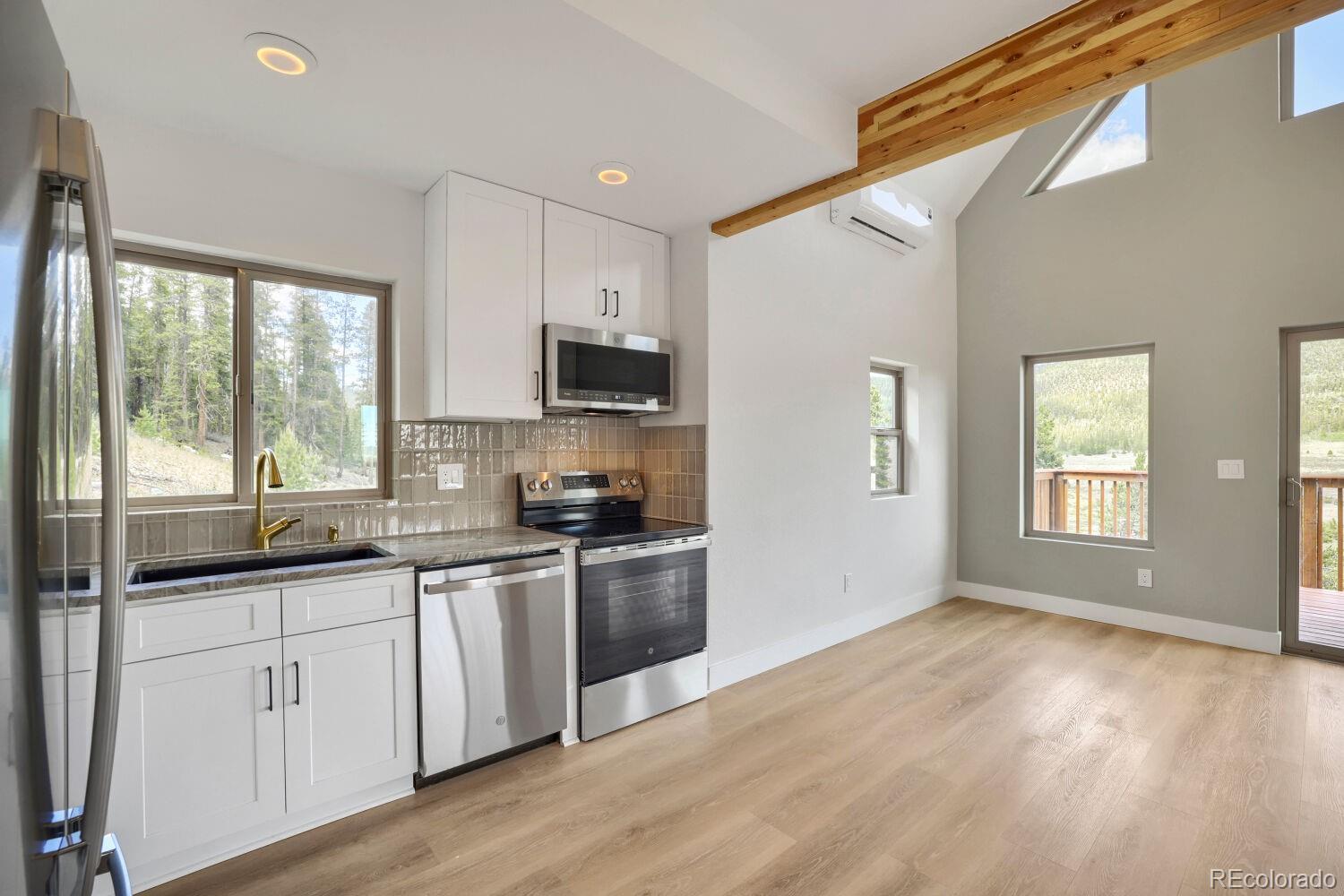 MLS Image #4 for 145  spruce ,alma, Colorado