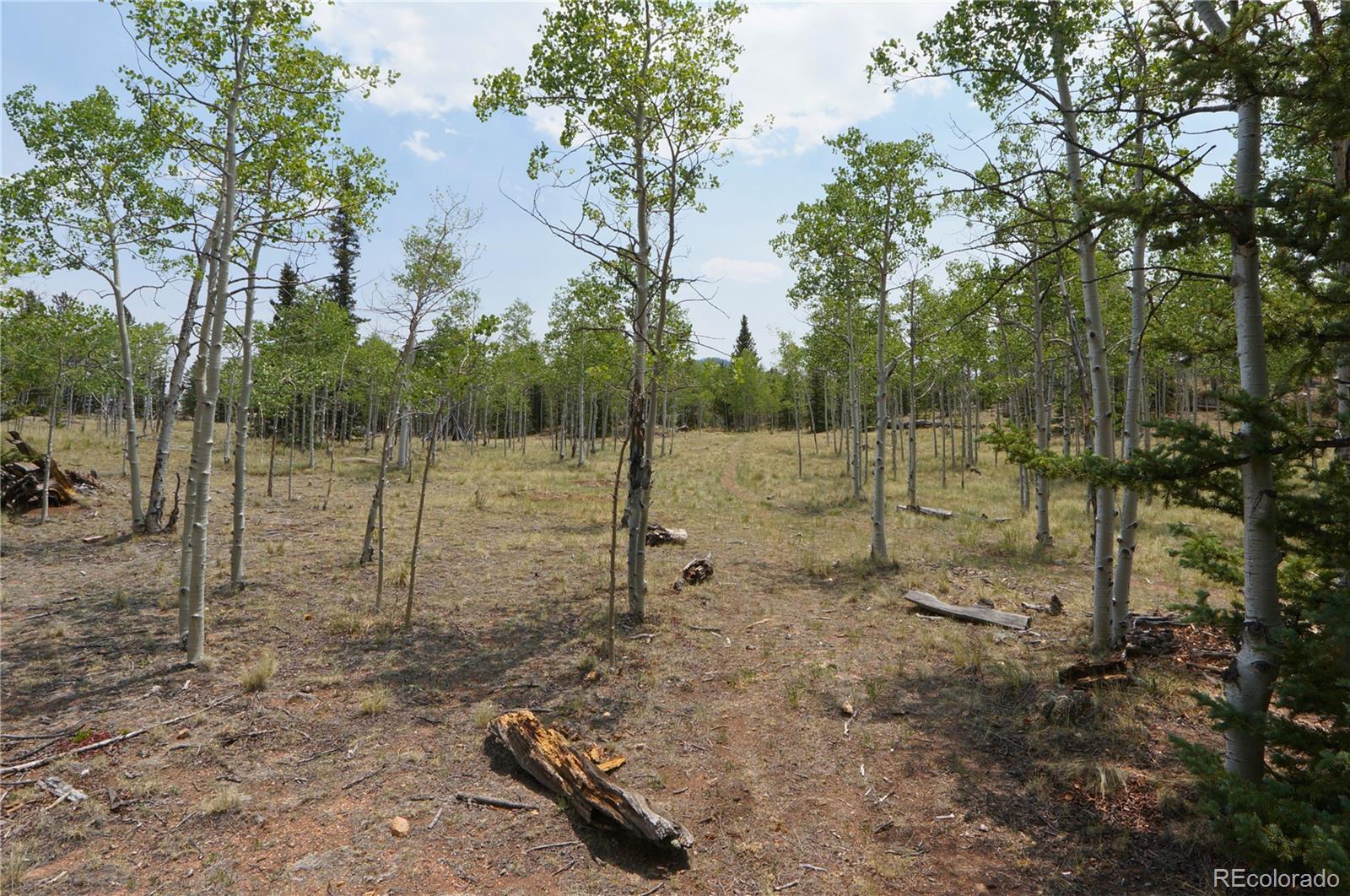 MLS Image #48 for 972  wampum lane,como, Colorado