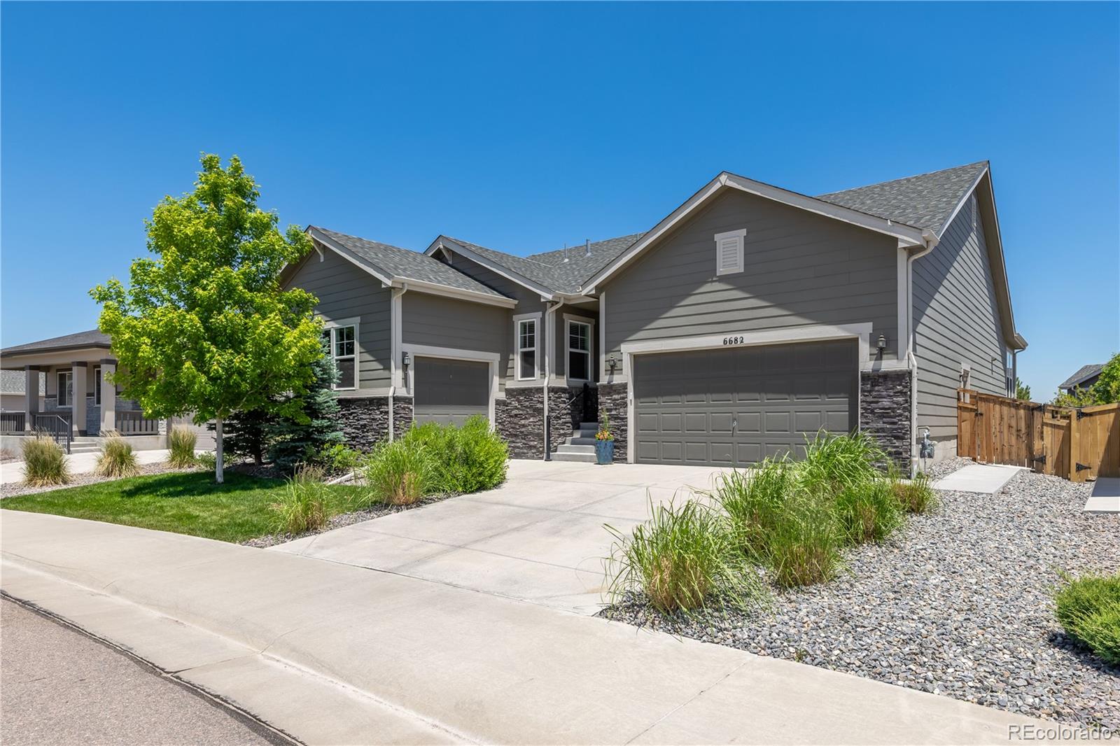 MLS Image #1 for 6682  angelique avenue,castle rock, Colorado