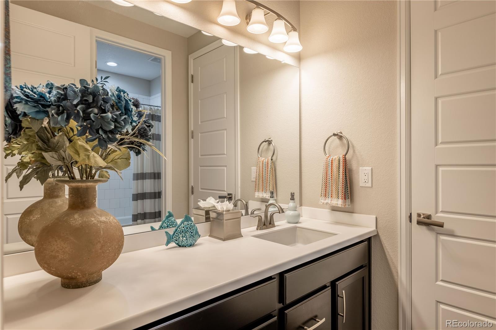 MLS Image #24 for 6682  angelique avenue,castle rock, Colorado