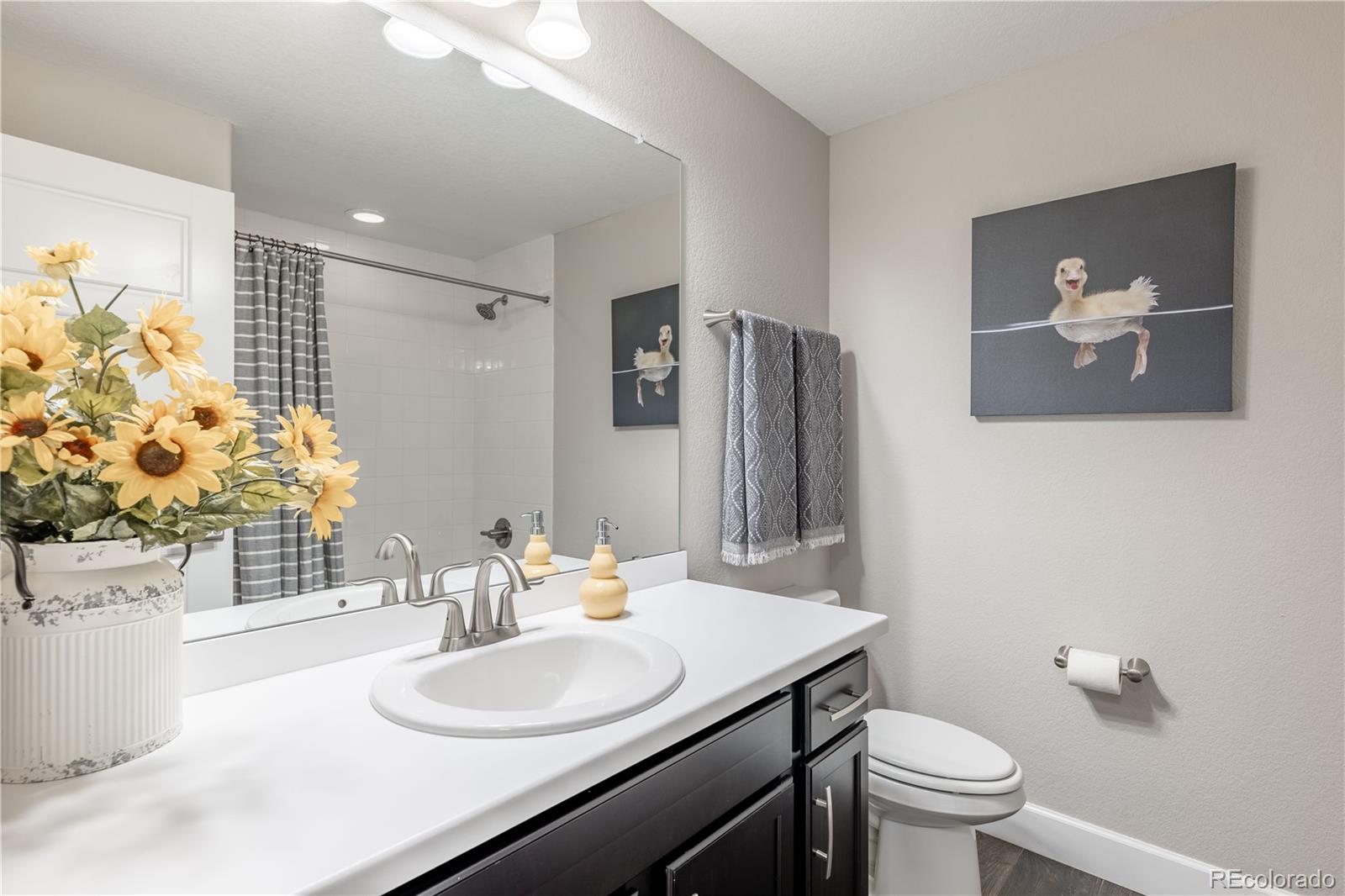 MLS Image #35 for 6682  angelique avenue,castle rock, Colorado