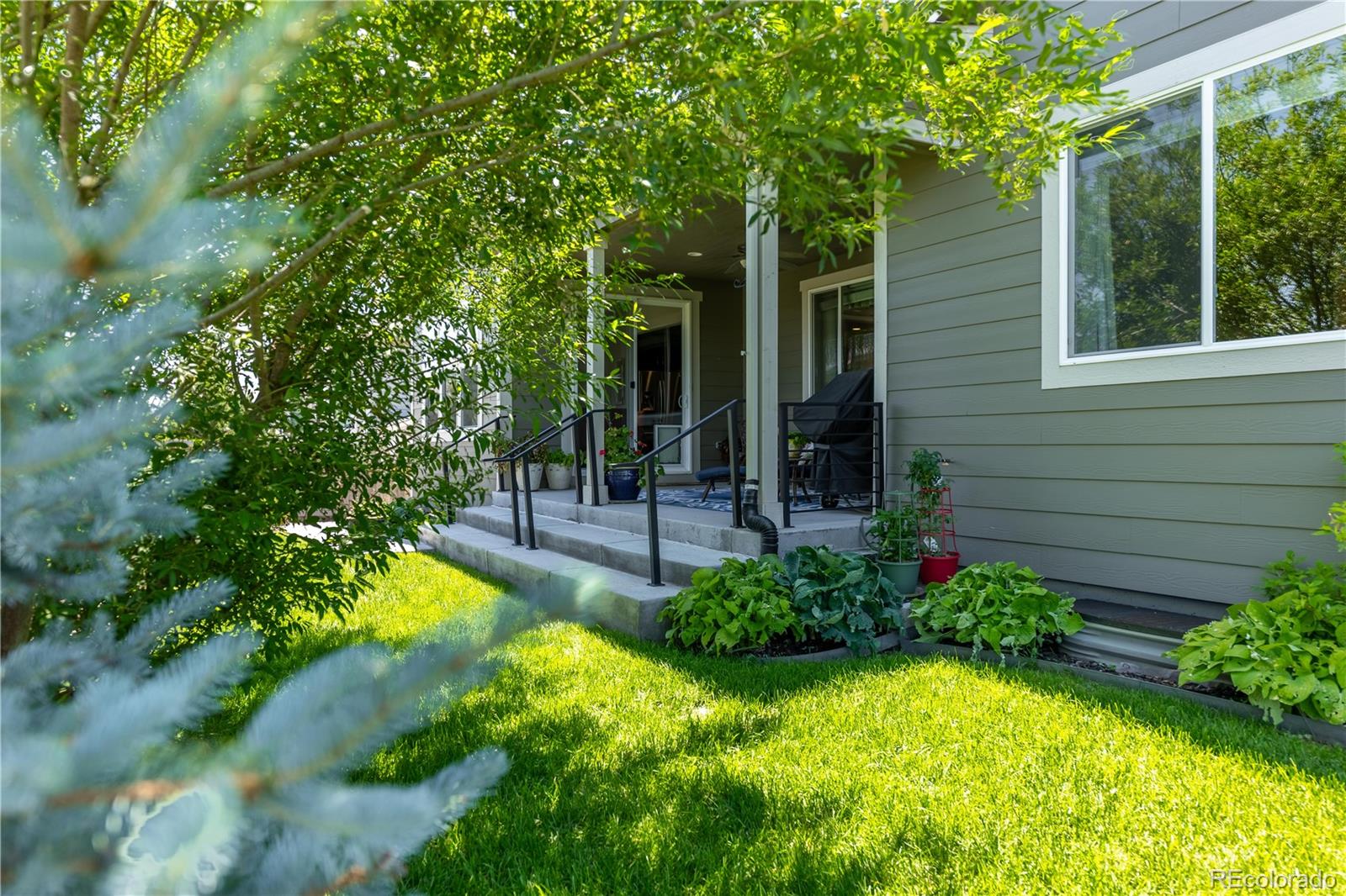 MLS Image #39 for 6682  angelique avenue,castle rock, Colorado
