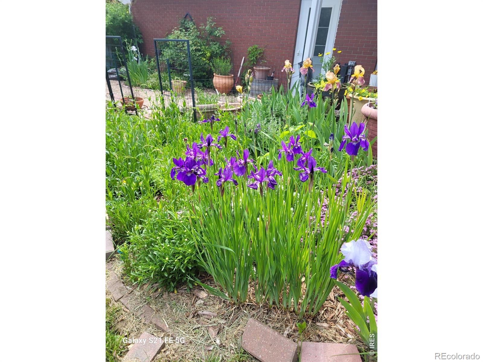 MLS Image #38 for 1220  49th ave ct,greeley, Colorado