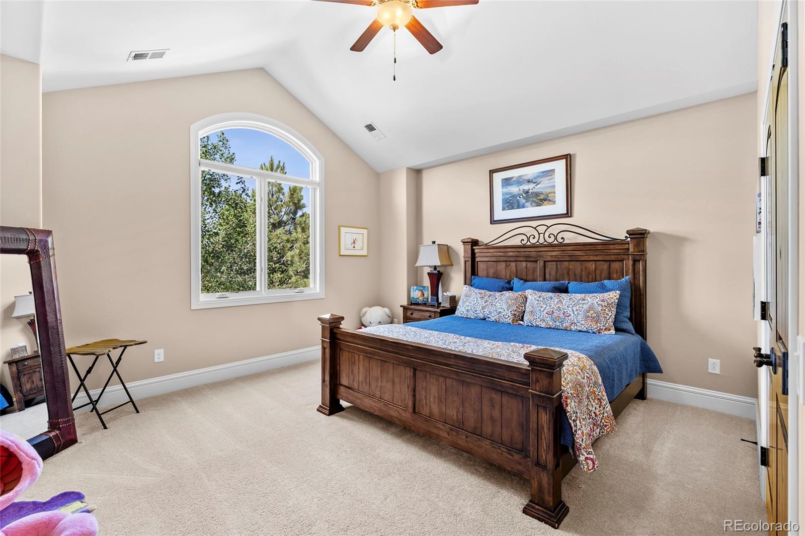 MLS Image #26 for 5433  grand fir way,parker, Colorado