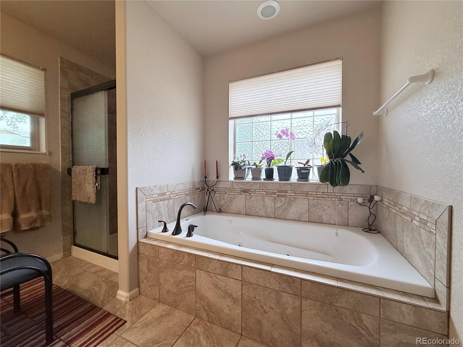 MLS Image #11 for 1102 e sabeta avenue,poncha springs, Colorado