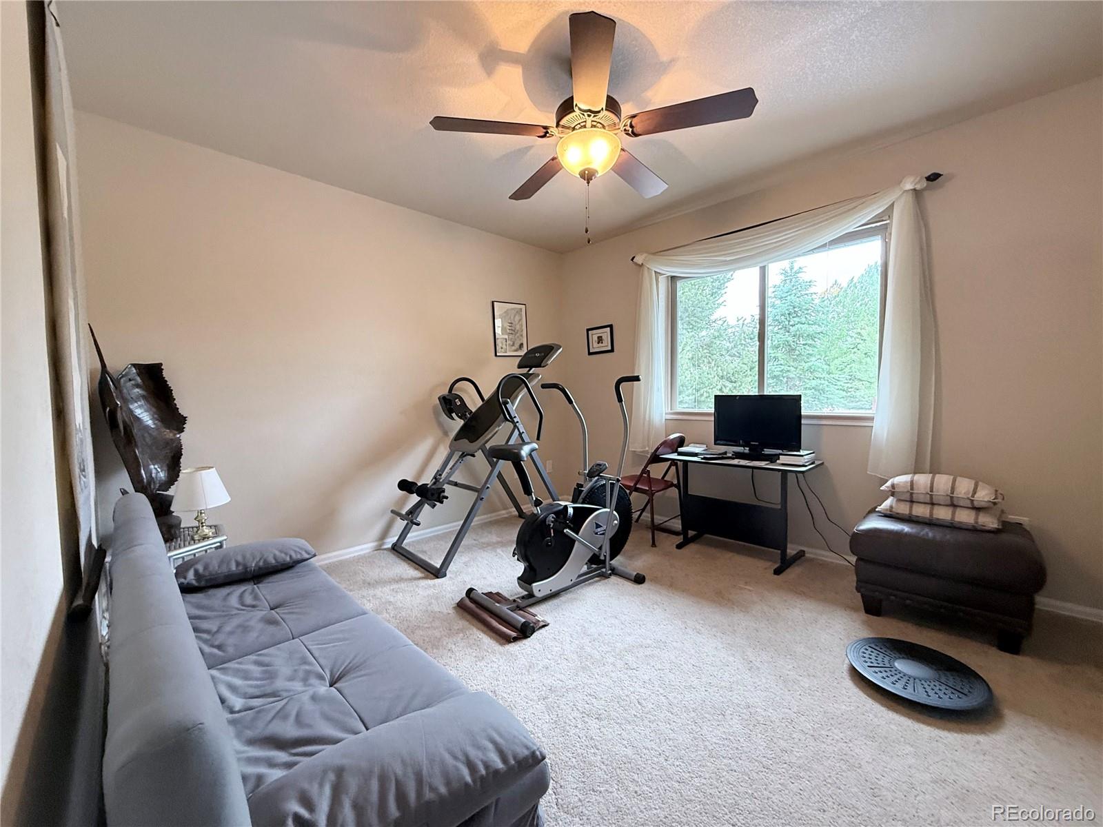 MLS Image #12 for 1102 e sabeta avenue,poncha springs, Colorado