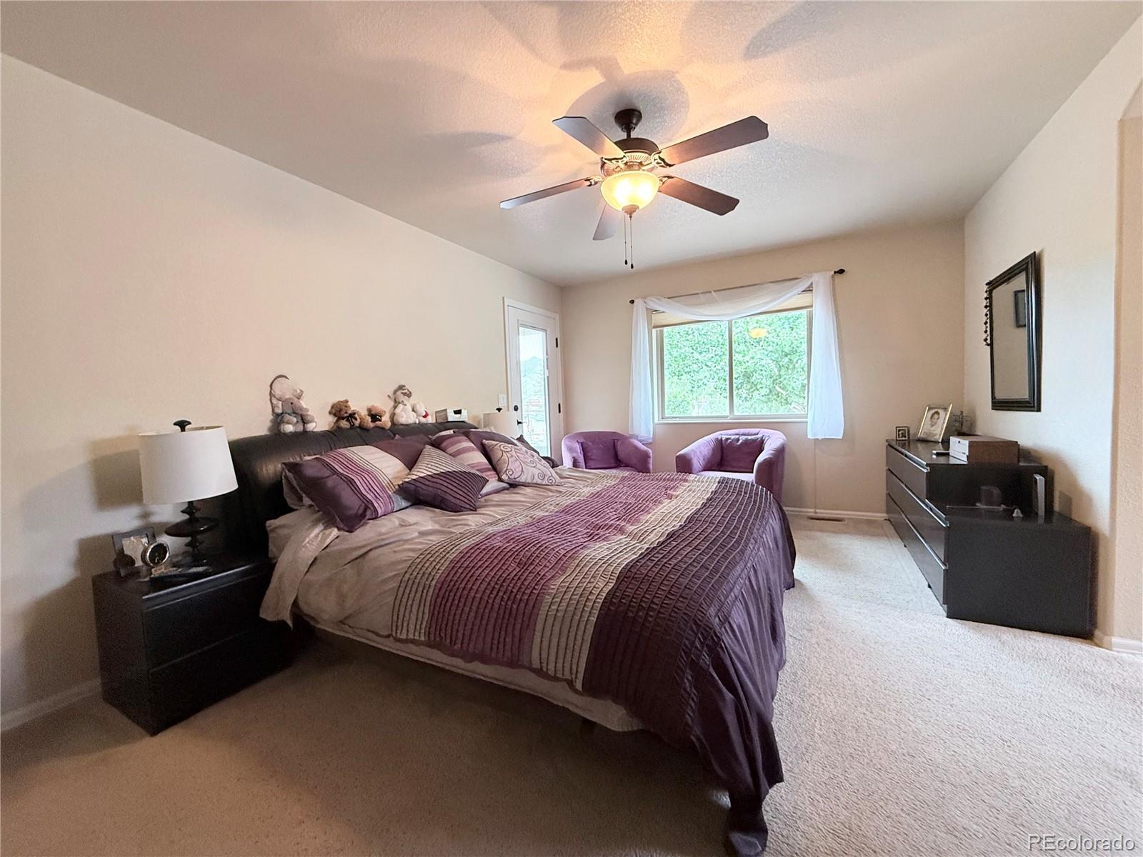 MLS Image #8 for 1102 e sabeta avenue,poncha springs, Colorado