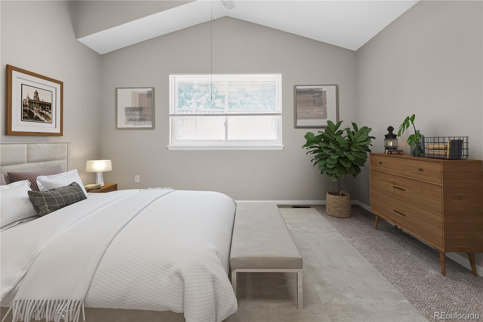 MLS Image #17 for 8811  miners street,littleton, Colorado