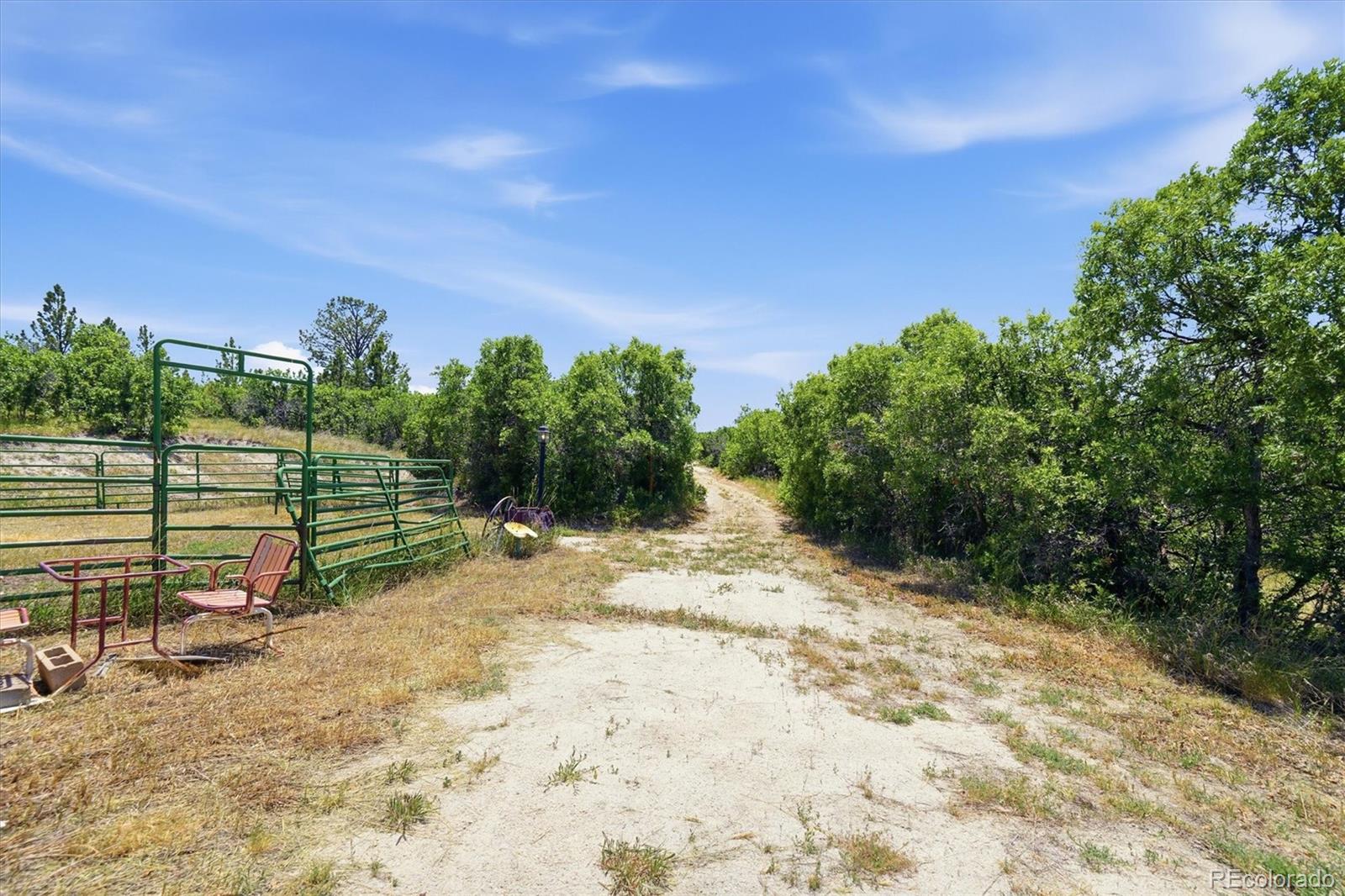 MLS Image #39 for 698  peak view drive,castle rock, Colorado